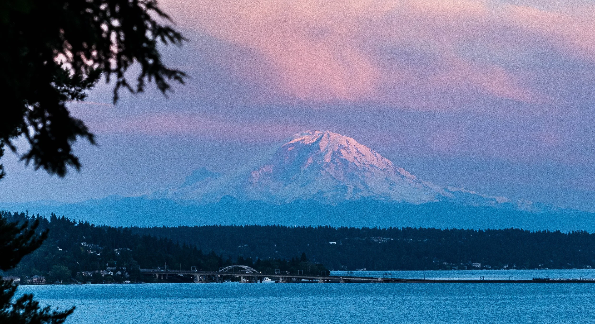 DSC_5896.jpg