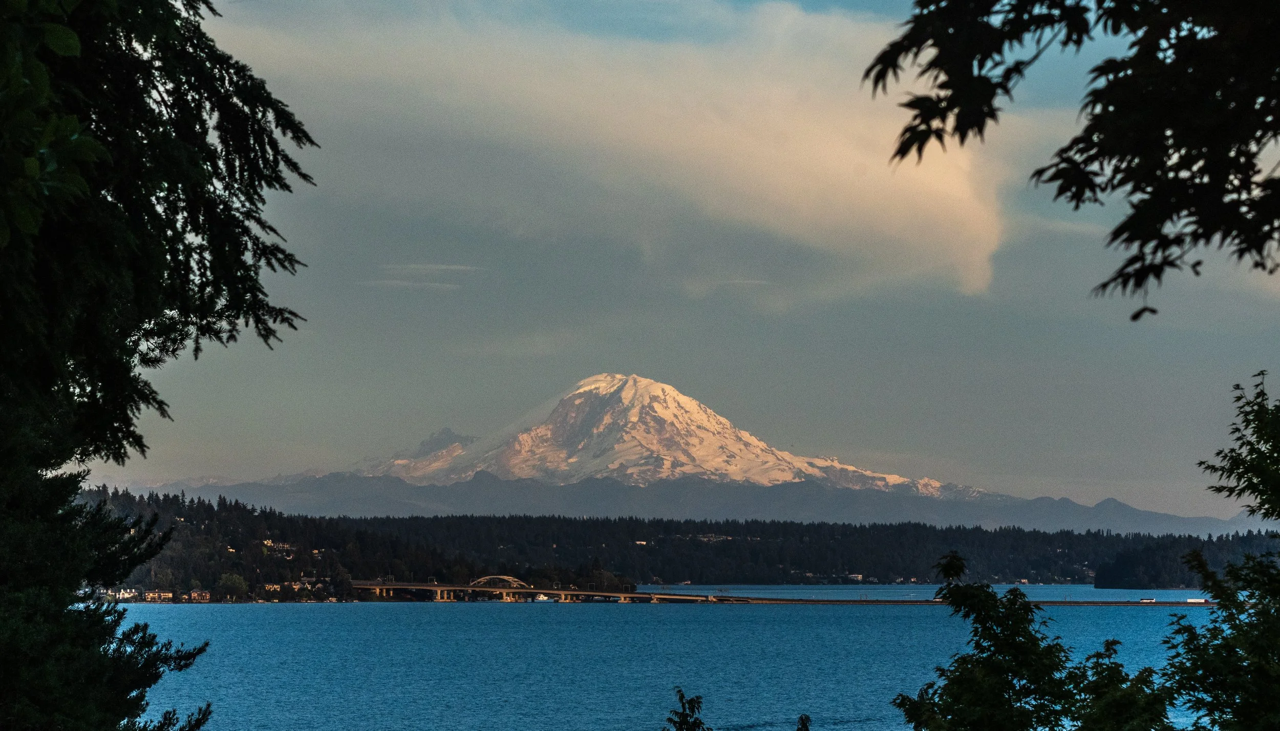 DSC_5875.jpg