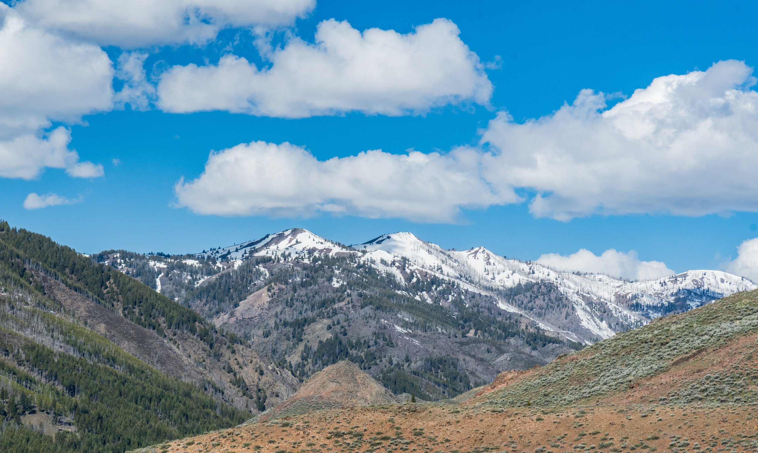 DSC_5805.jpg