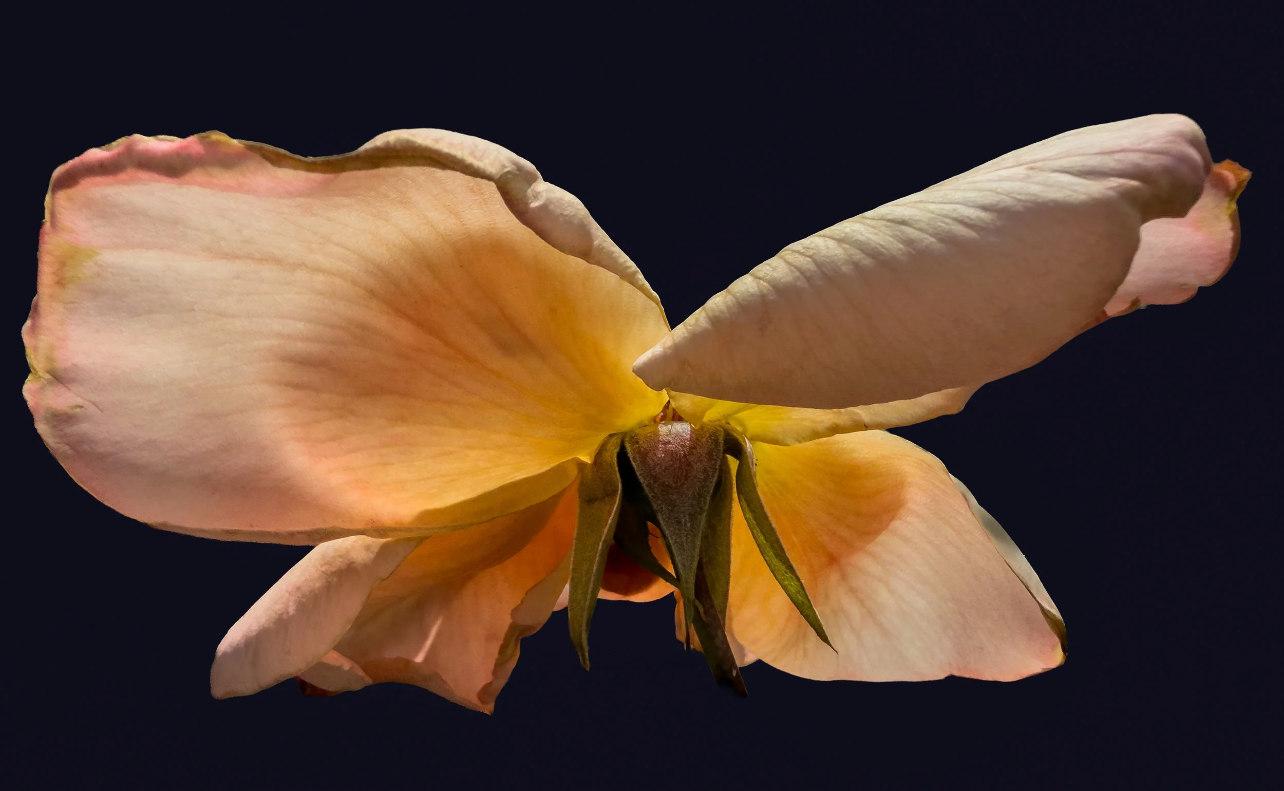 IMG_2099-Edit.jpg