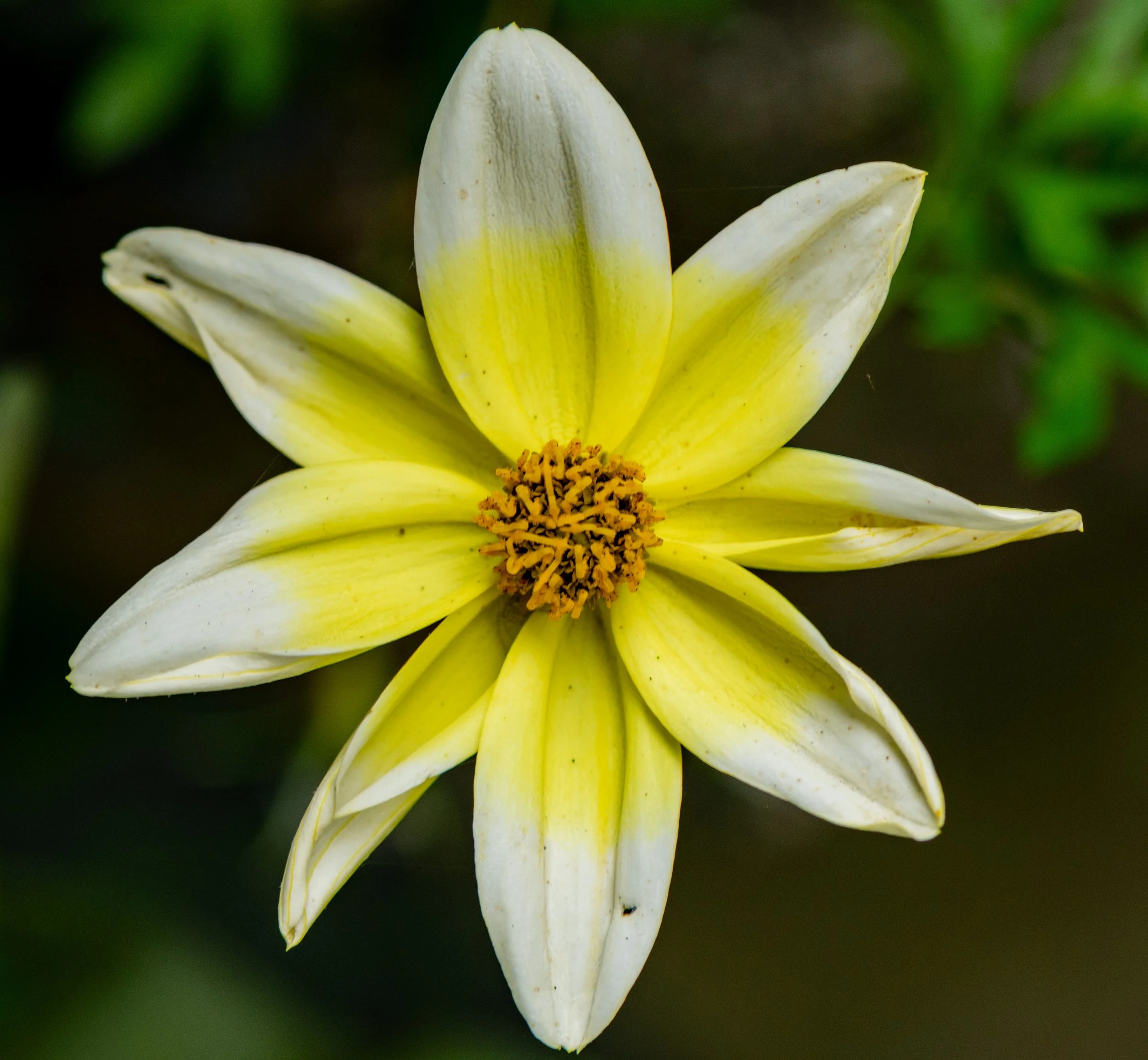 DSC_6261.jpg