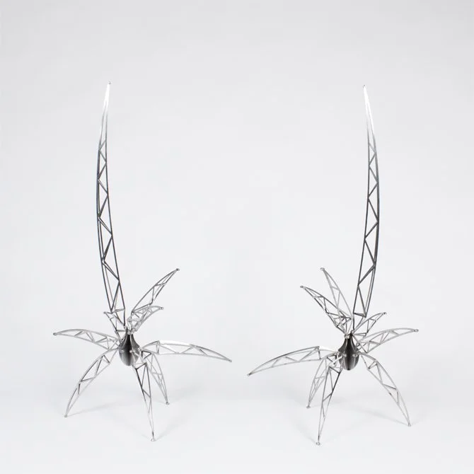 ERSTC1v1 - pair 2 website.jpg