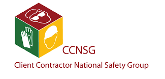 CCNSG - web.png