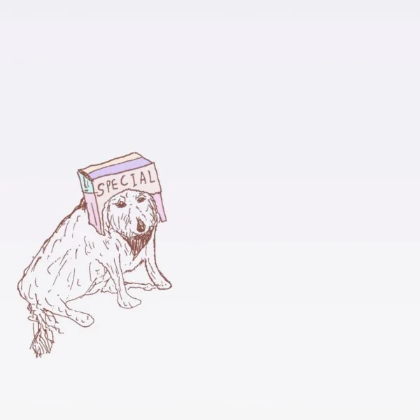 774db-1o2mdbhdjb8lwlahuchwzsw.jpeg