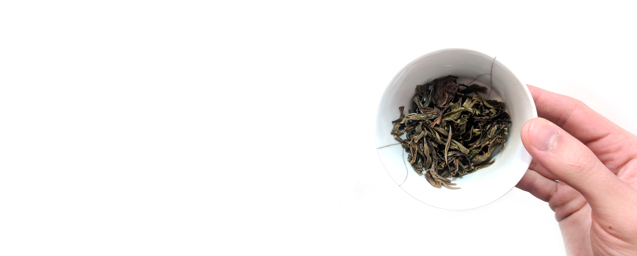 Leaf Closeup Gaiwan.png