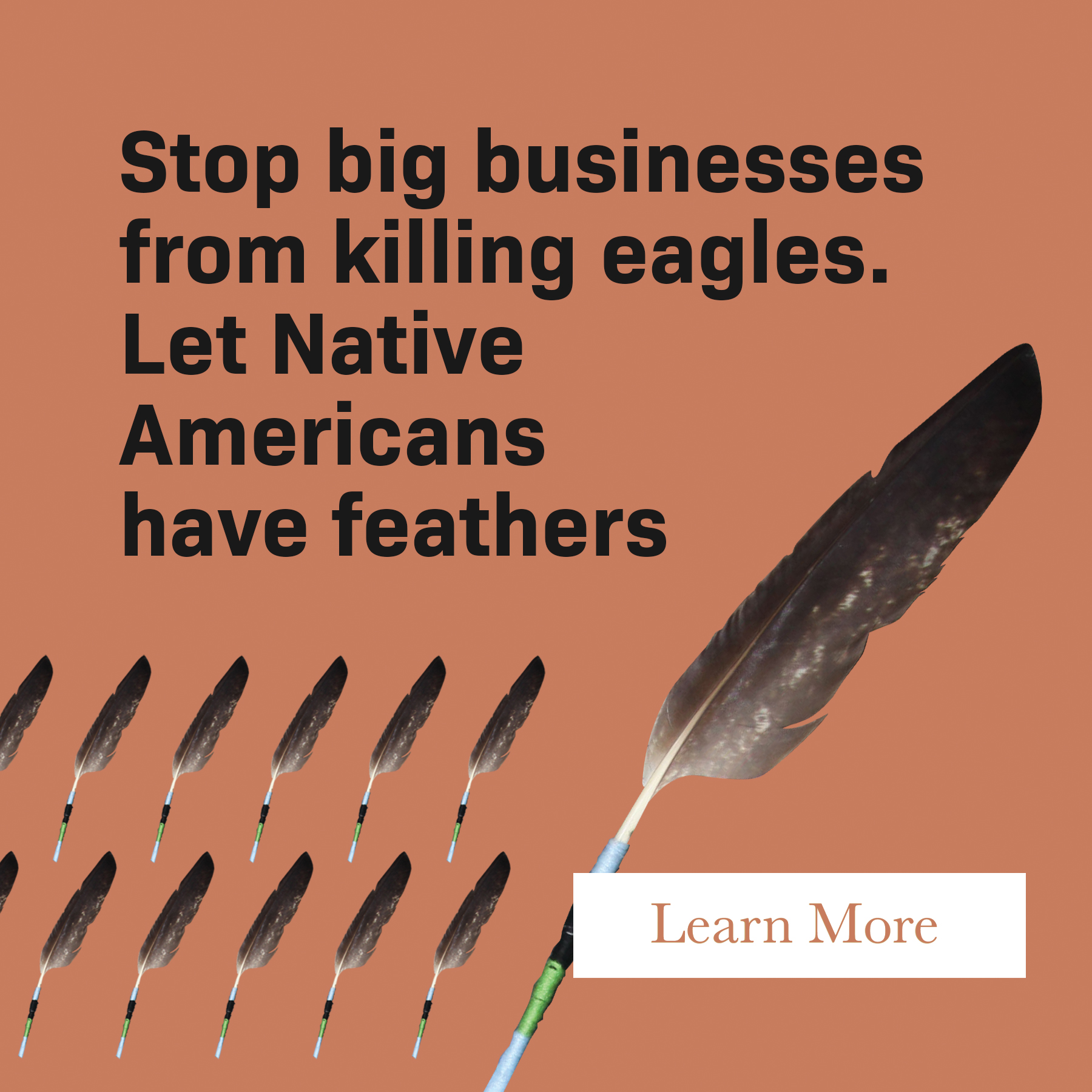 Let Native Americans have feathers