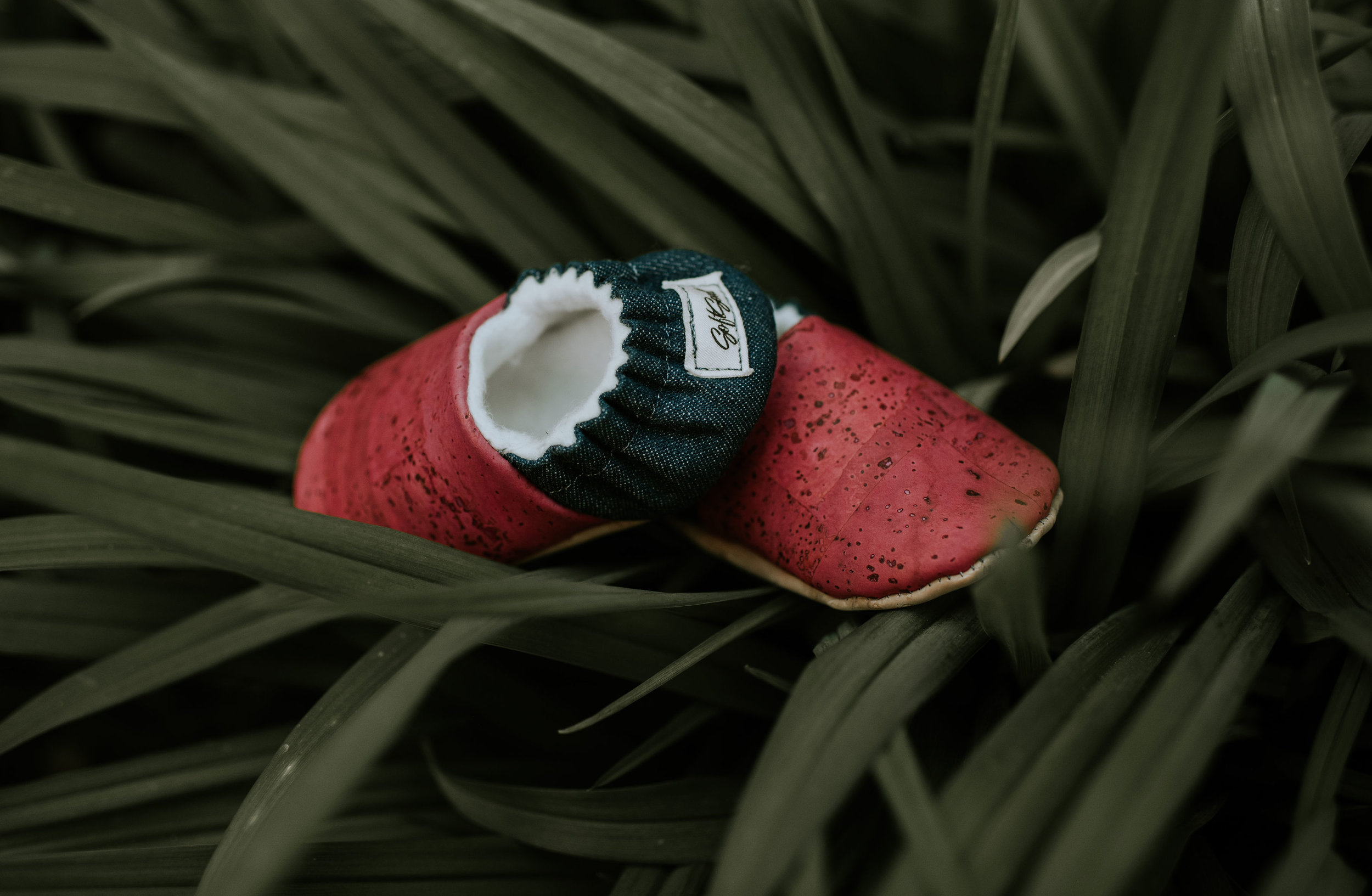 Jen-3812.jpg
