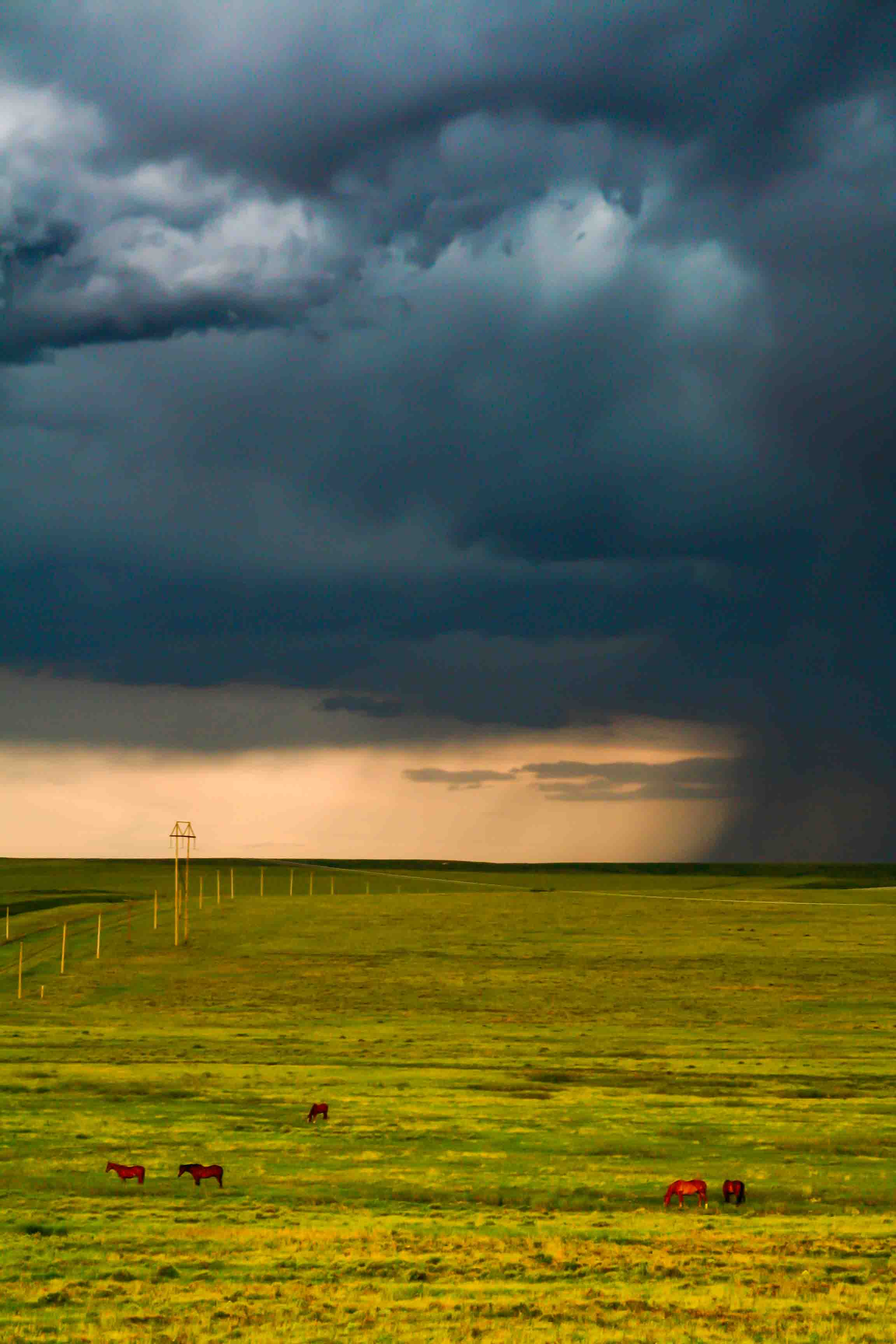 High Plains Thunderstorm, with Wild Horses