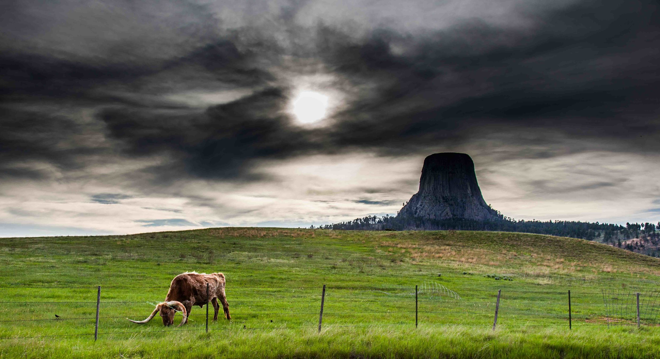 Devil's Tower