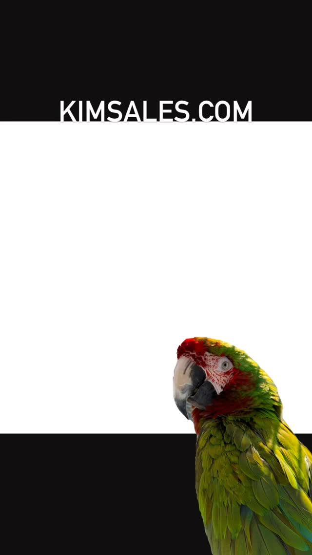 Slide 6