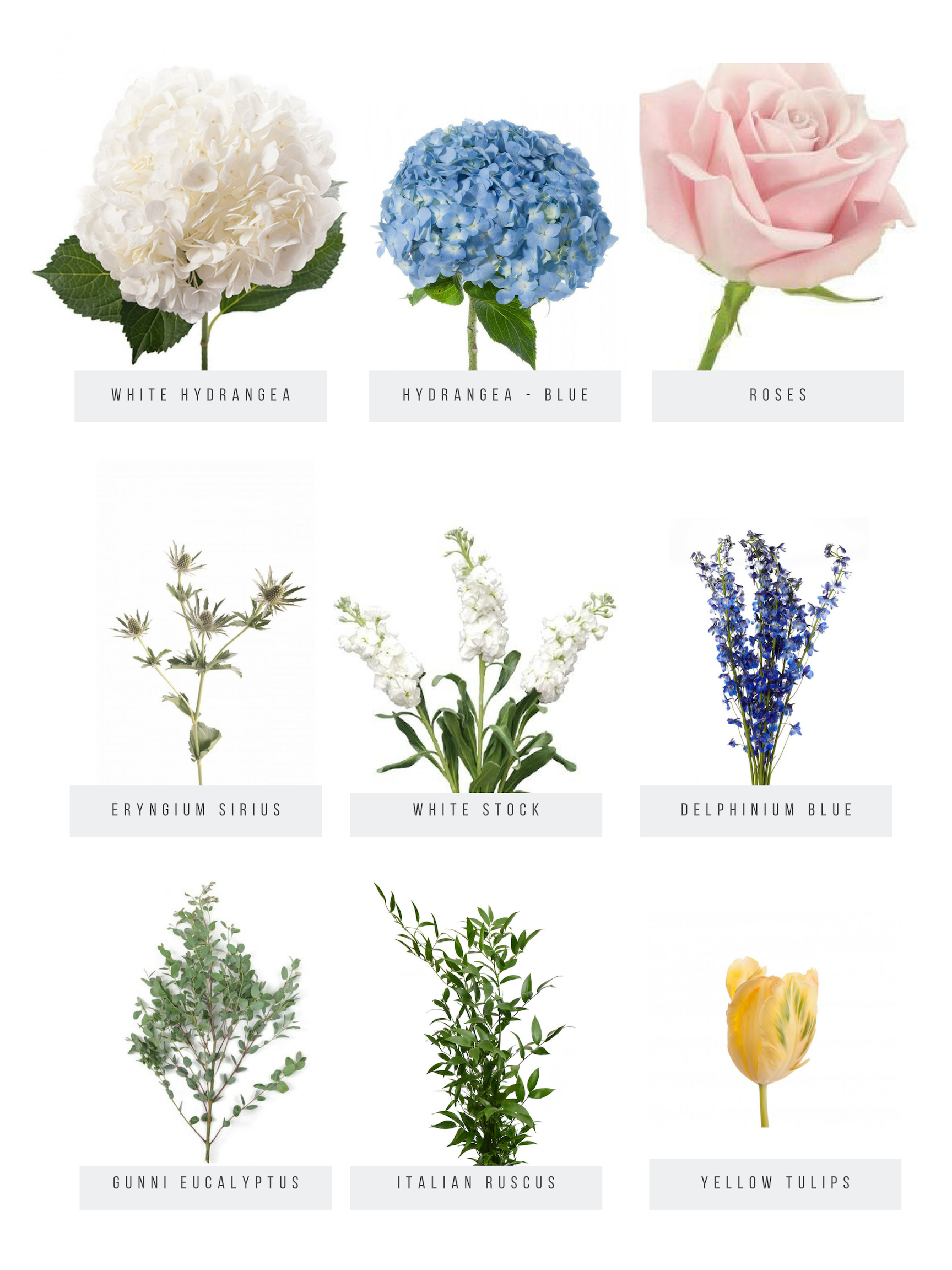 Flower Preview_Mercantile.png