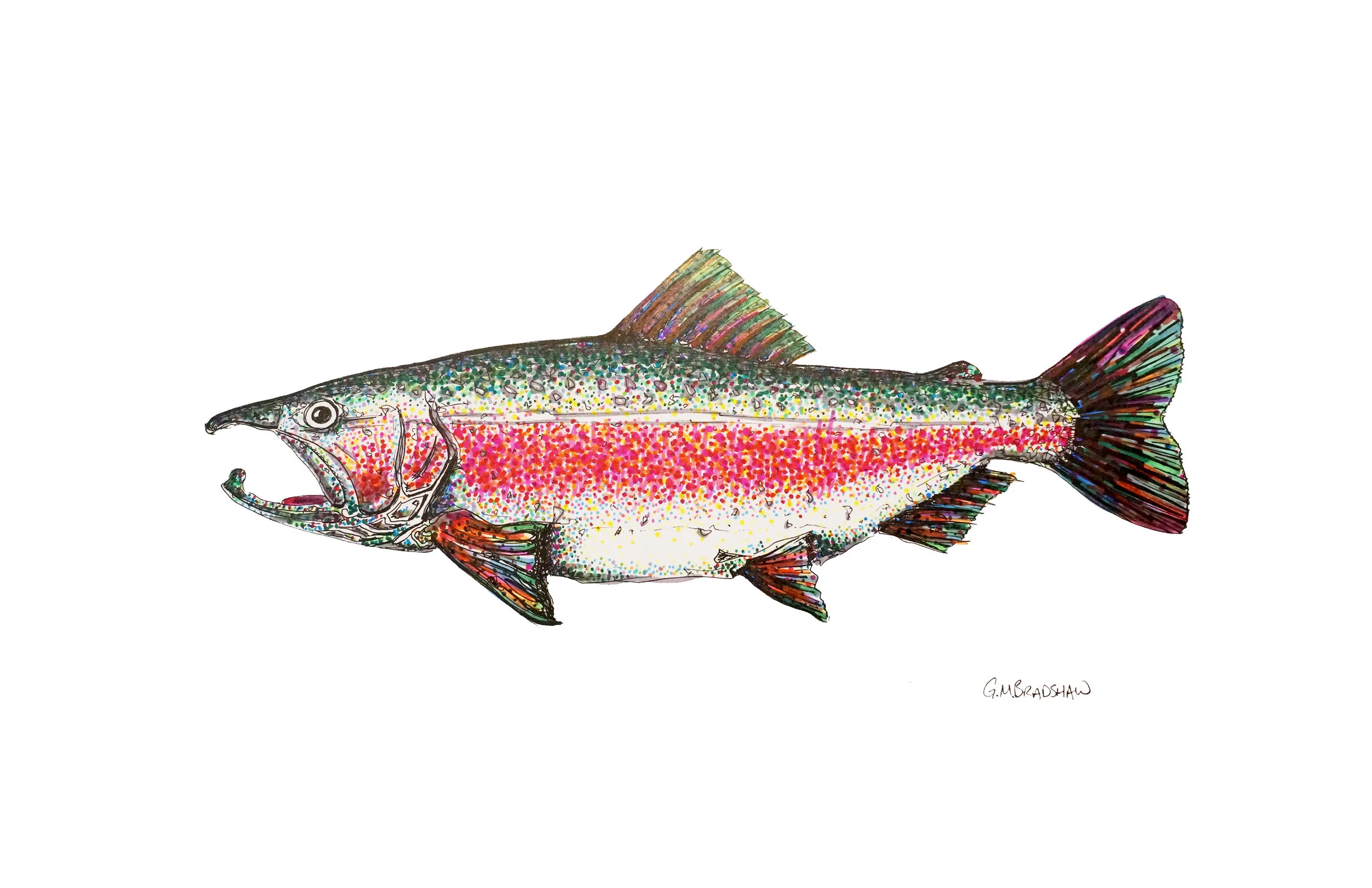 Rainbow_Print.jpg