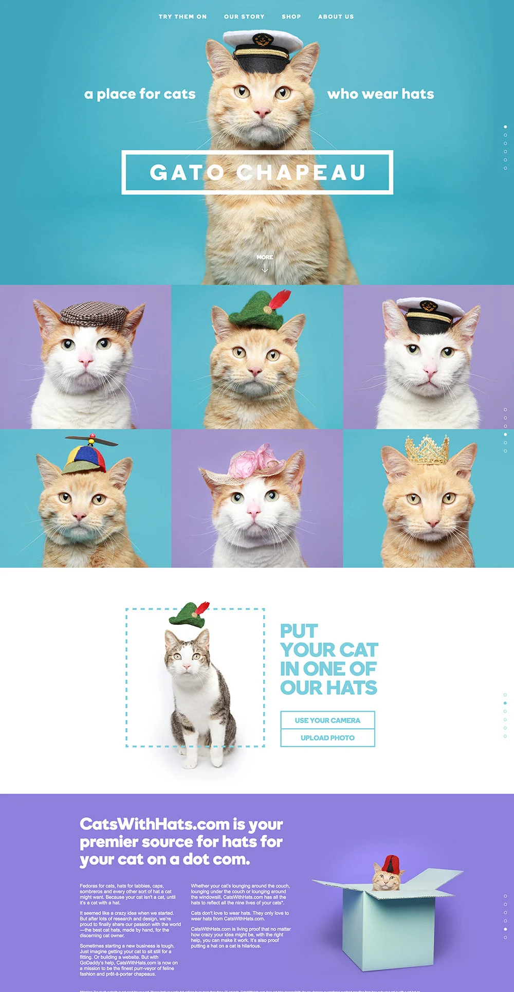 cats-with-hats-site.jpeg