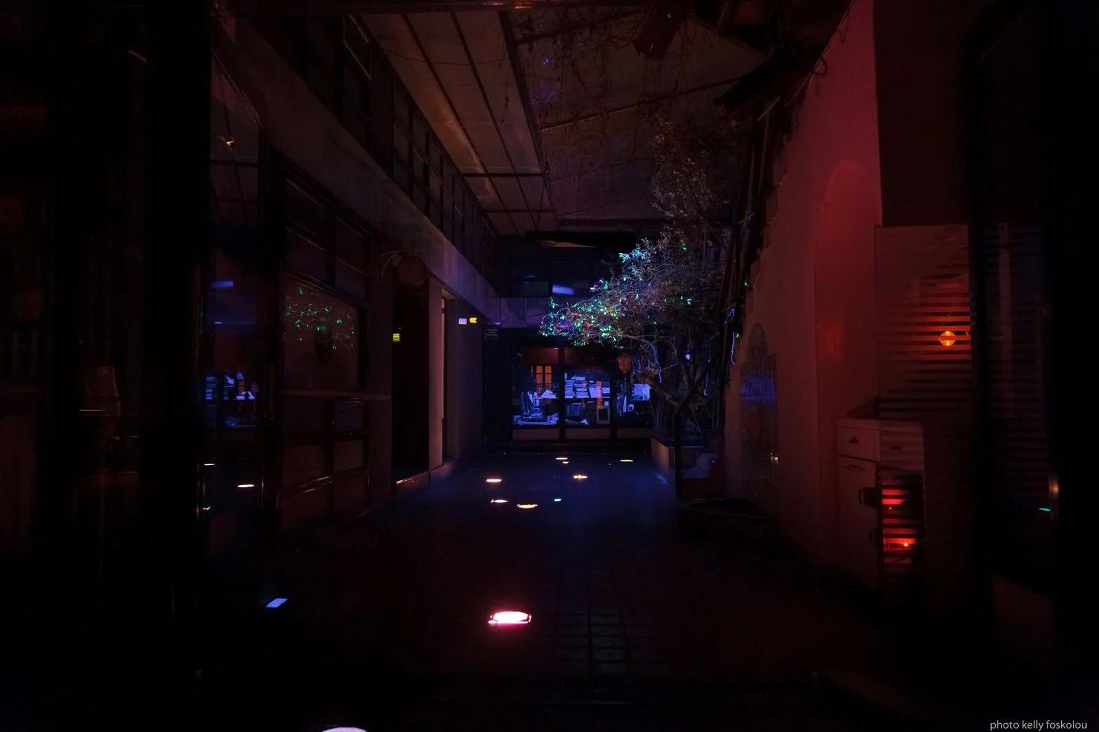  kelly foskolou photography 