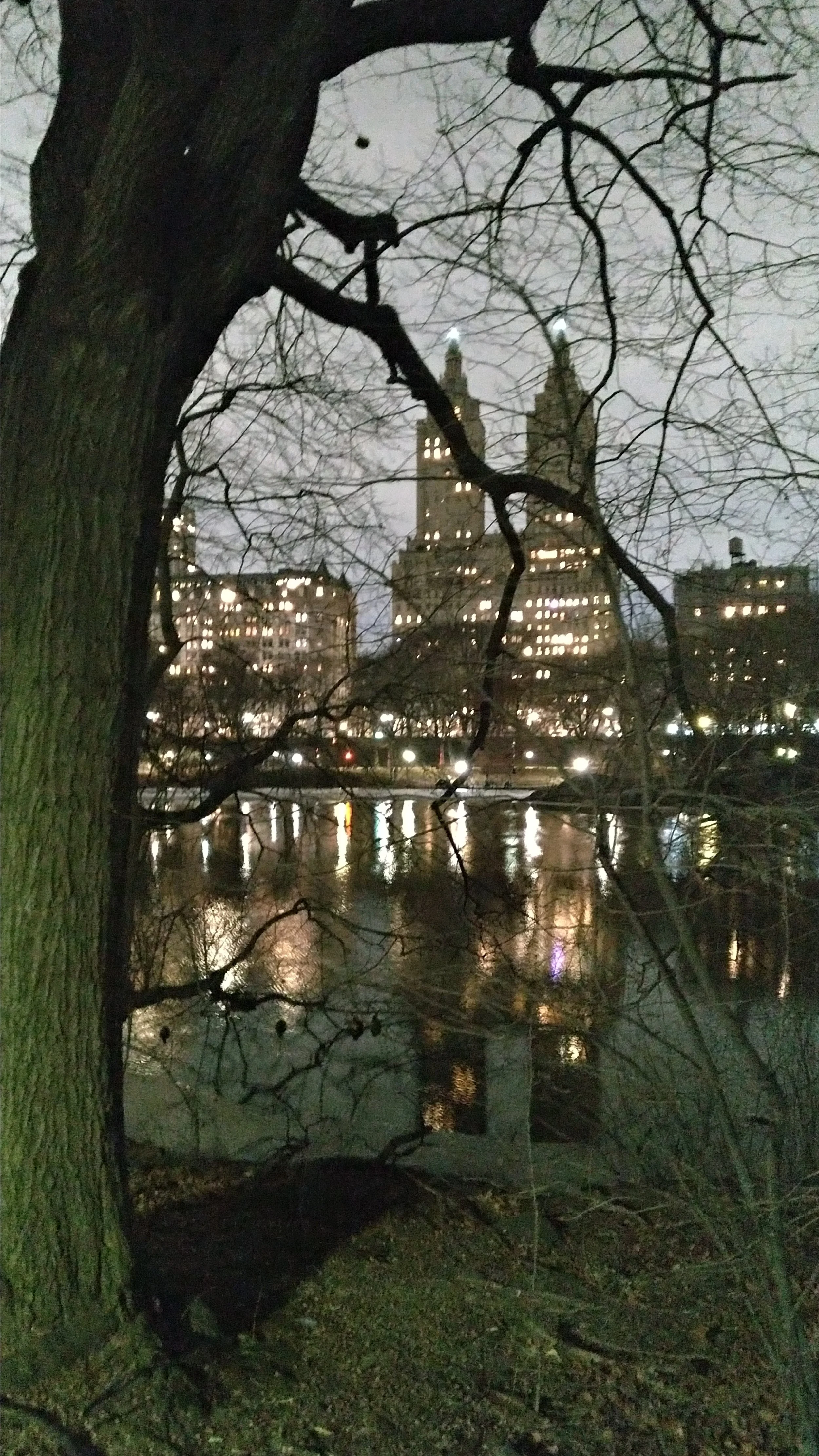 01_Central Park.jpg