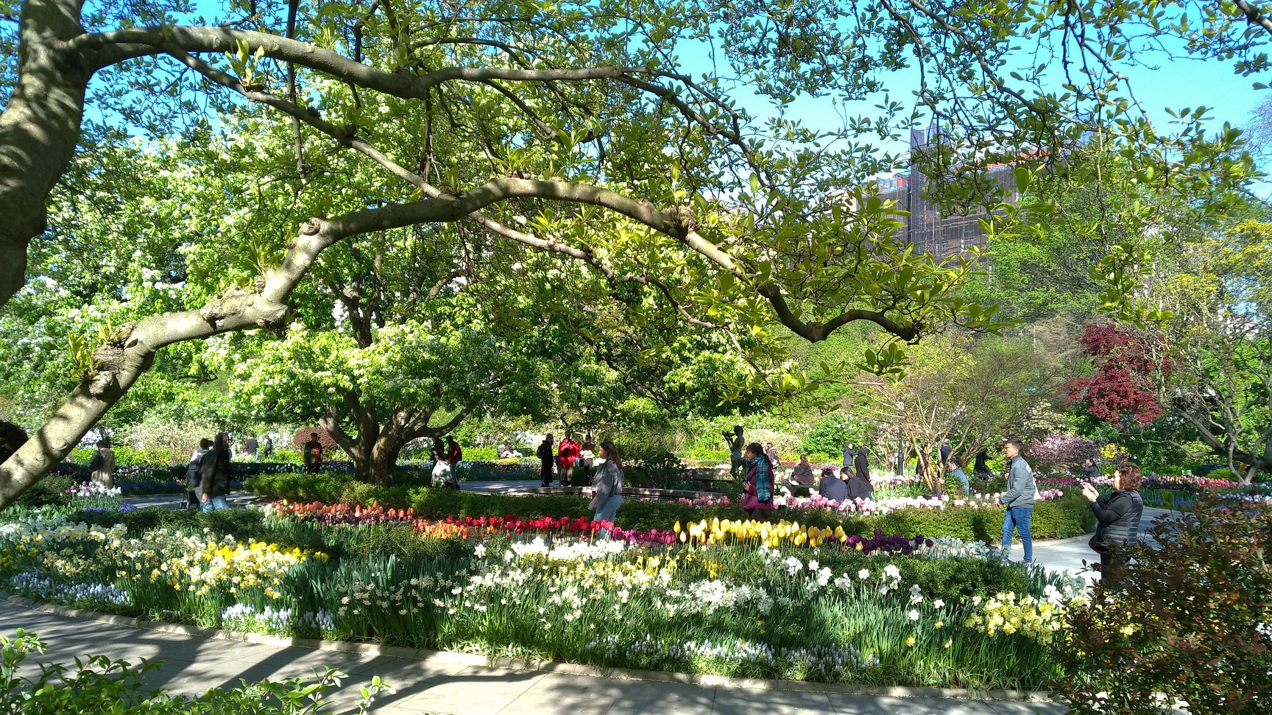 12_Central Park.jpg