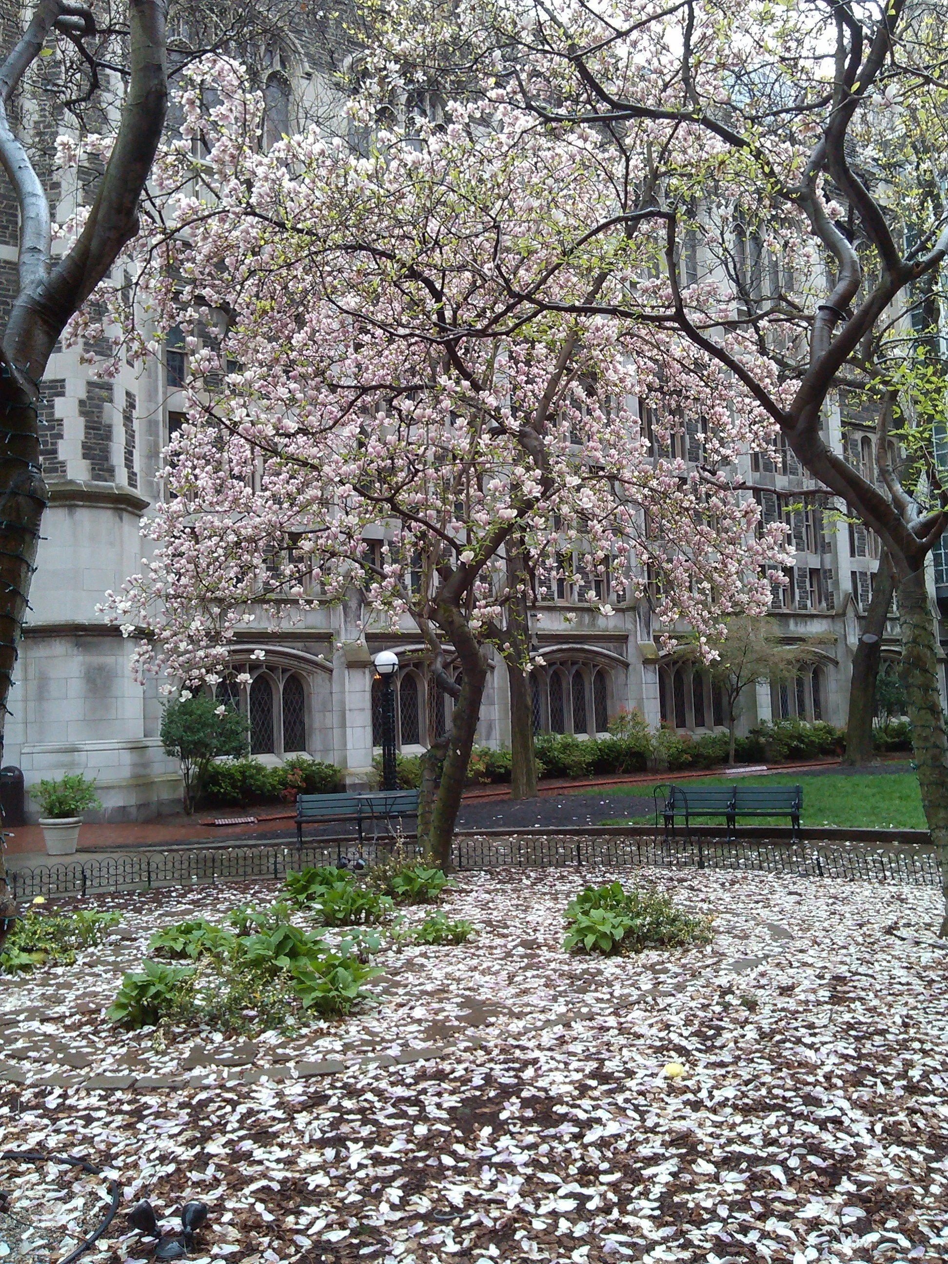06_Union Theological Seminary.jpg