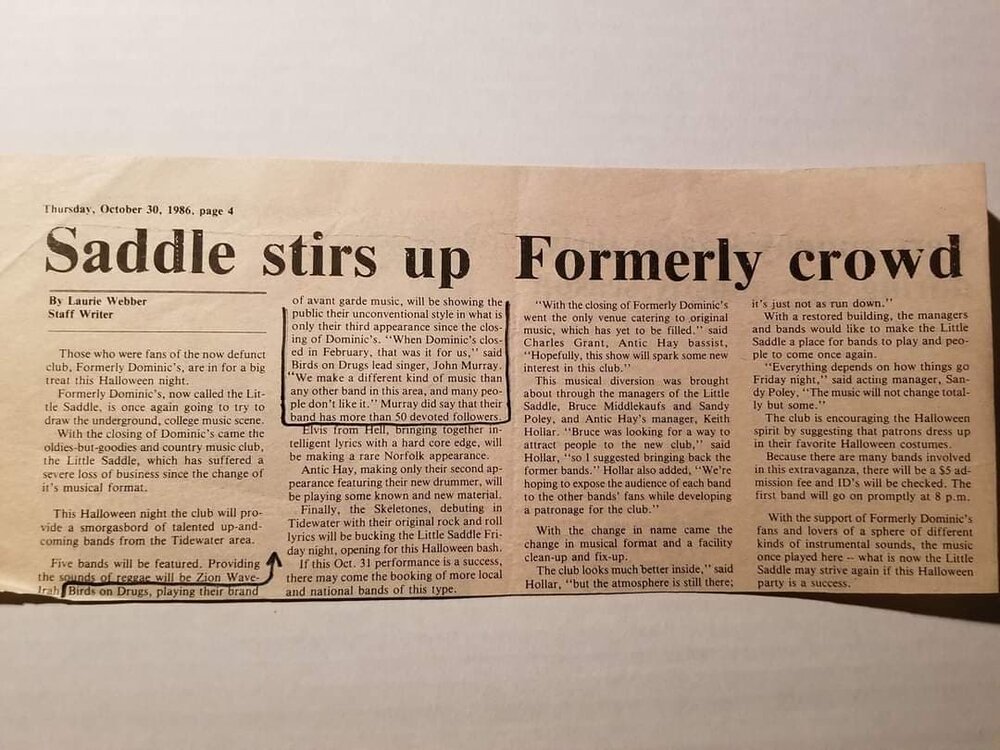 ODU Mace and Crown newspaper article on The Little Saddle with a section on Birds On Drugs.