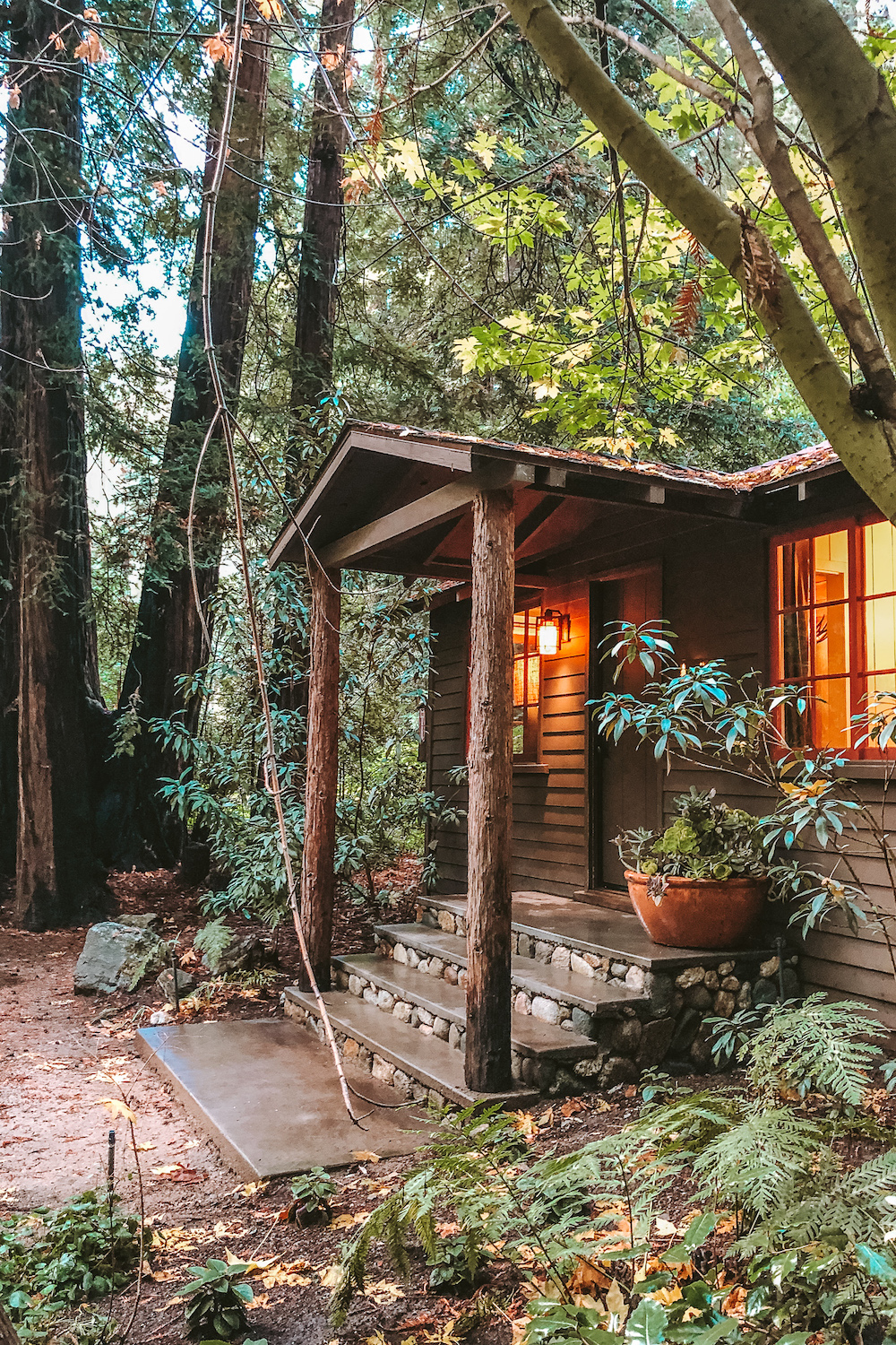 Glen Oaks Big Sur Cabin in the Redwoods | Cedar + Surf