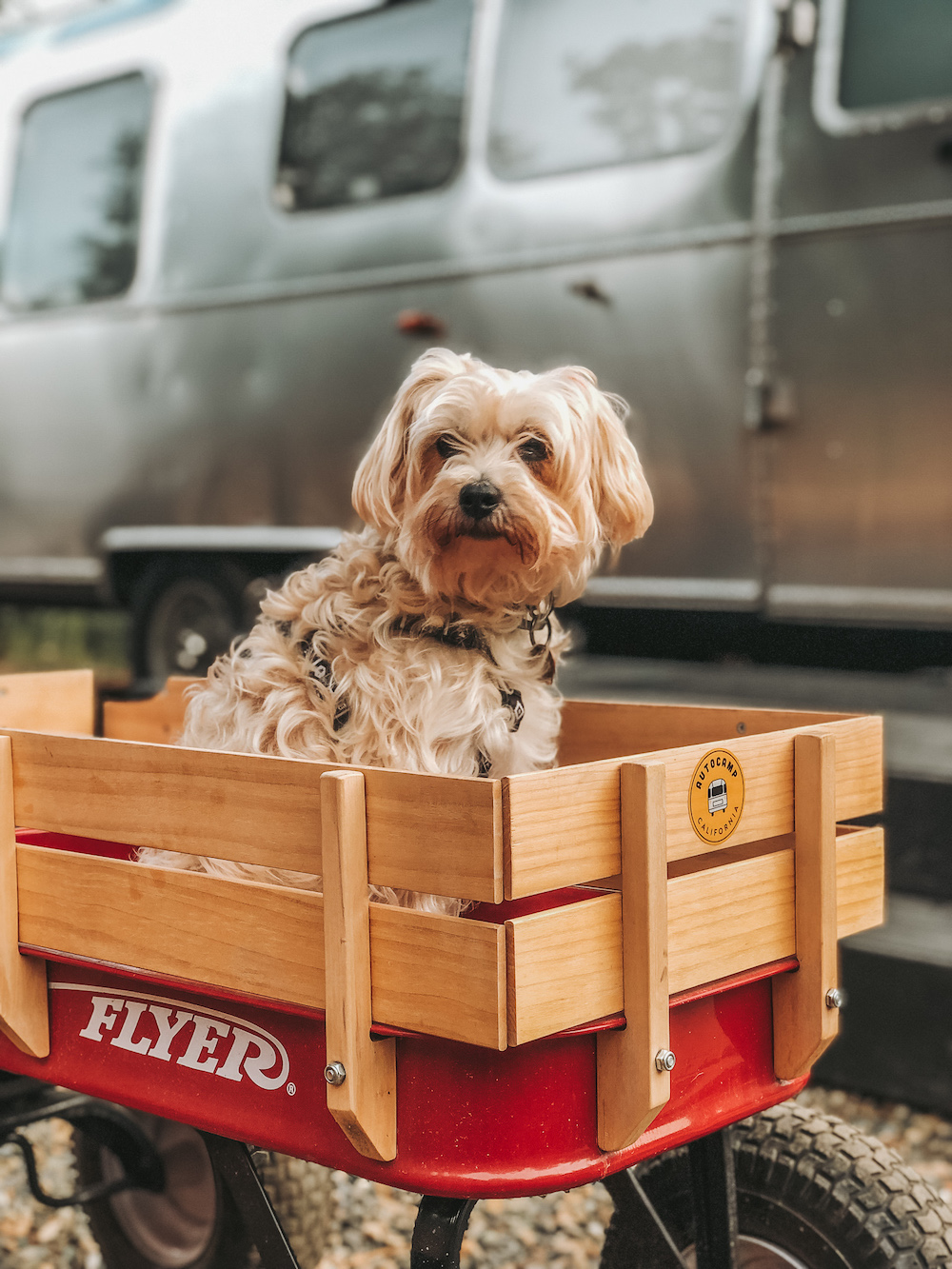 Radio Flyer Wagon Autocamp Yosemite | Cedar + Surf