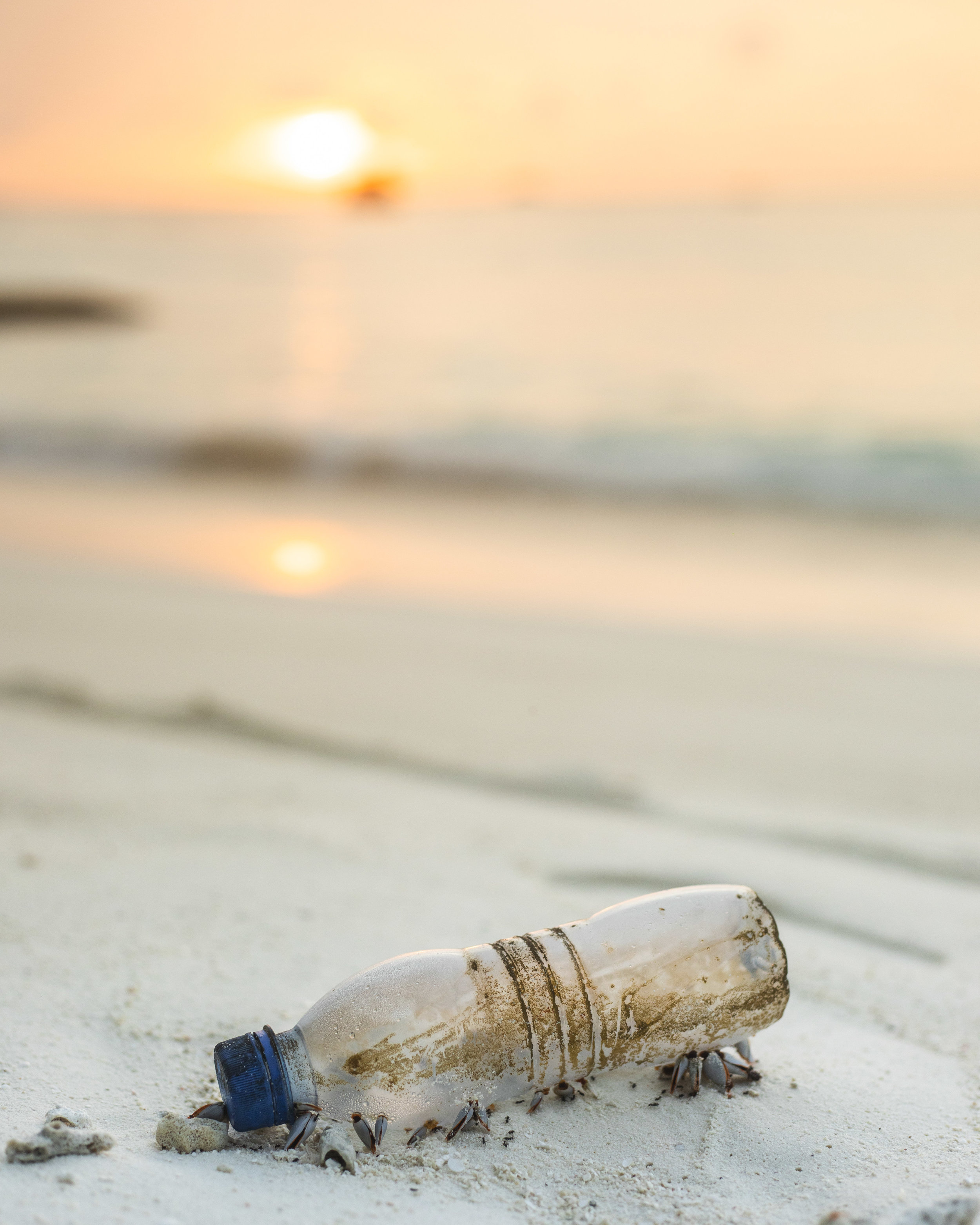Plastic bottle on the beach | Cedar + Surf