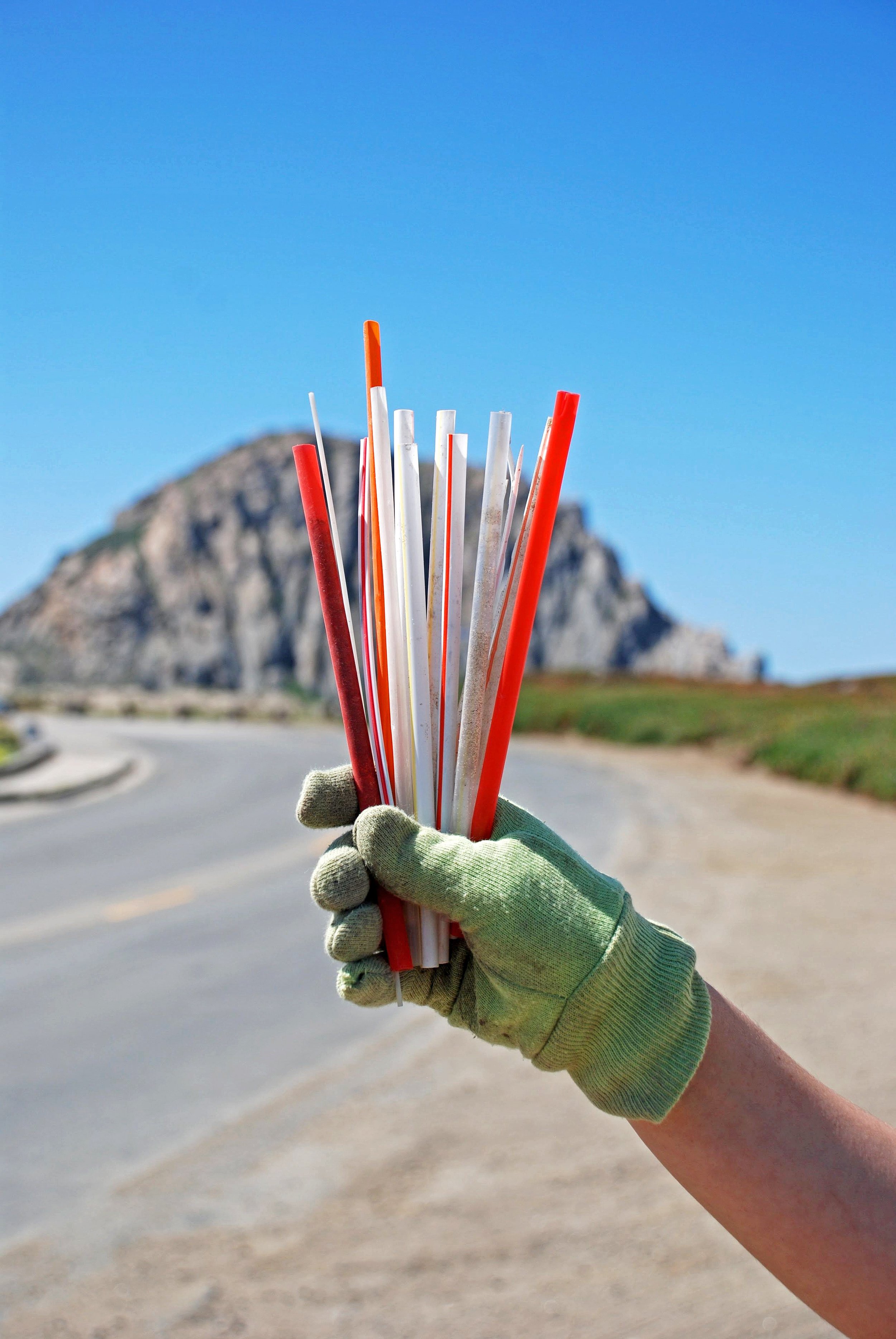 Plastic pollution on the beach | Cedar + Surf