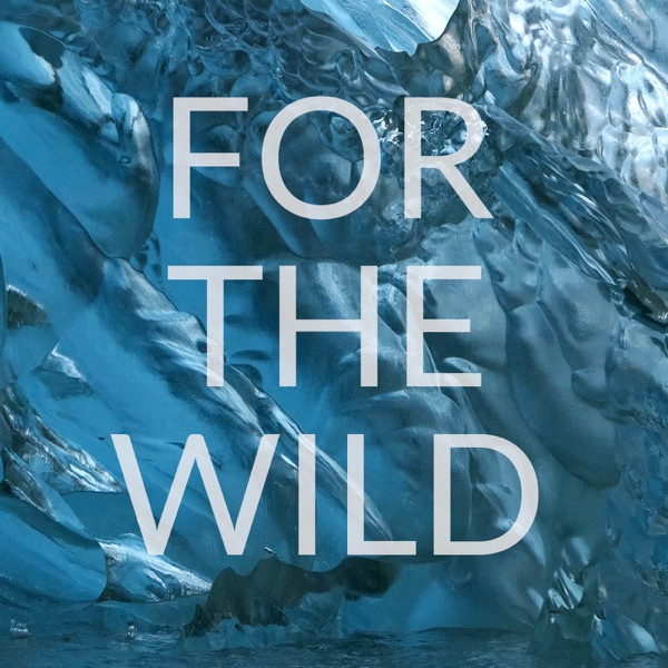 For The Wild Podcast | Cedar + Surf