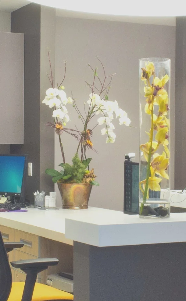 The entire office is decorated in soothing colors with beautiful flower arrangements