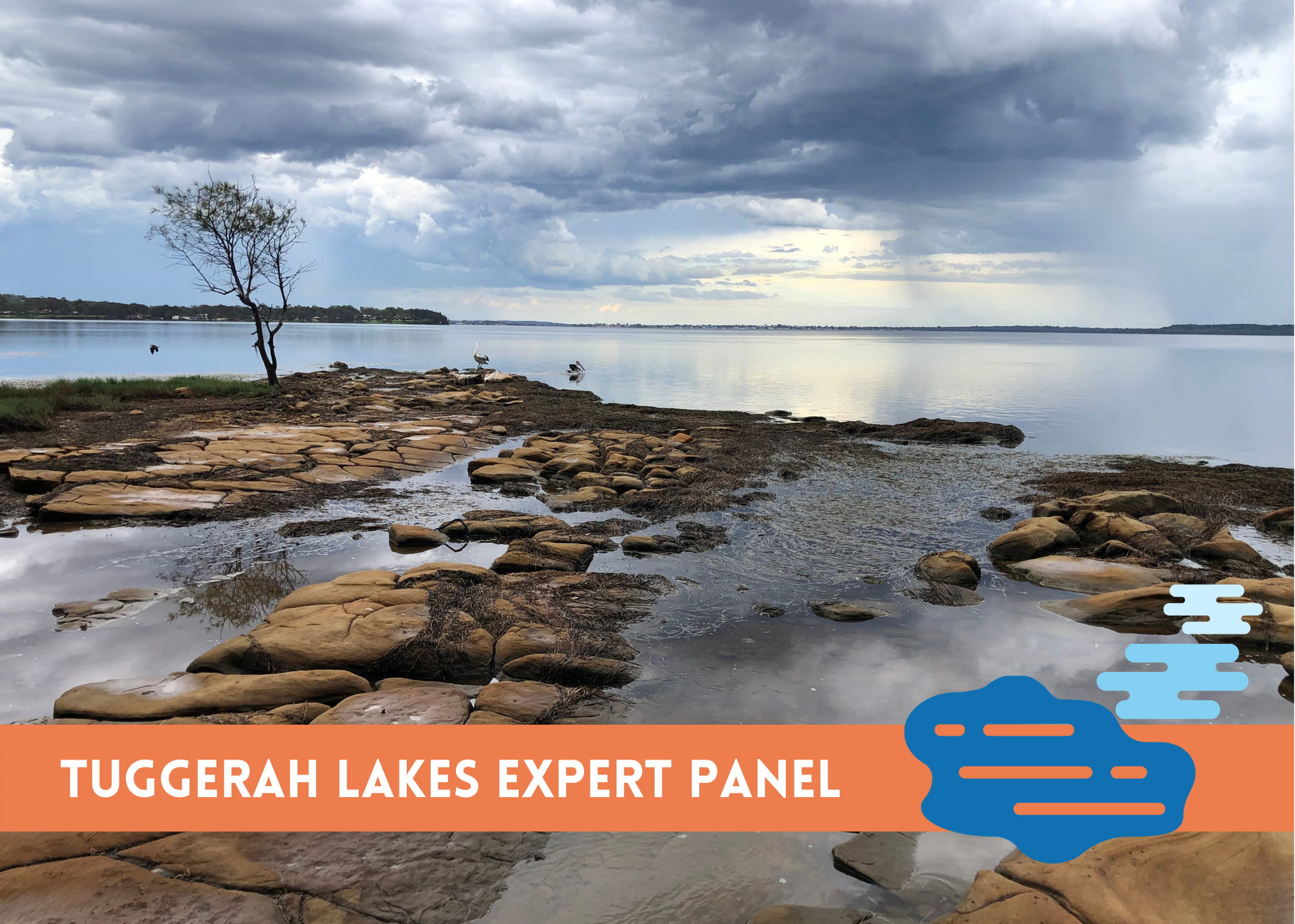 Logo of Tuggerah Lakes Expert Panel
