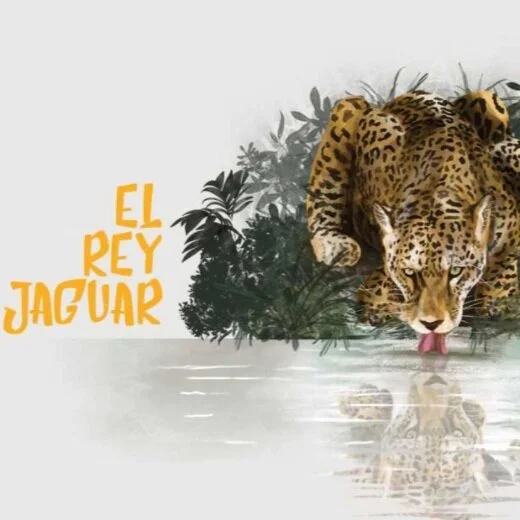 WWF Launches the International #JaguarKing Campaign