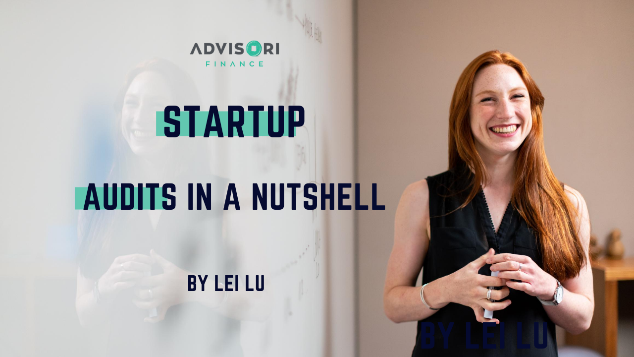 Startup CPAs - Audits in a Nutshell