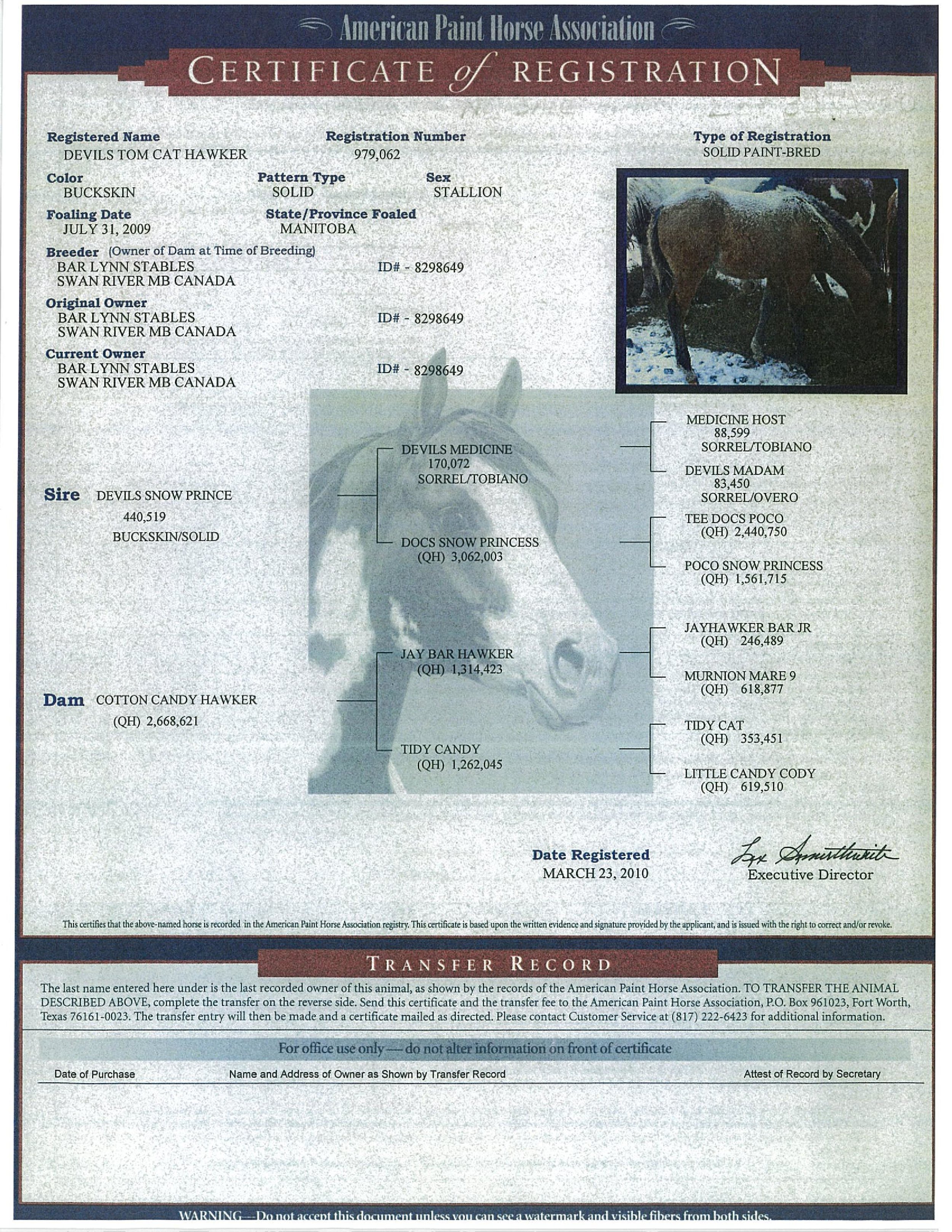 Devils Tom Cat Hawker Registration Papers .jpg