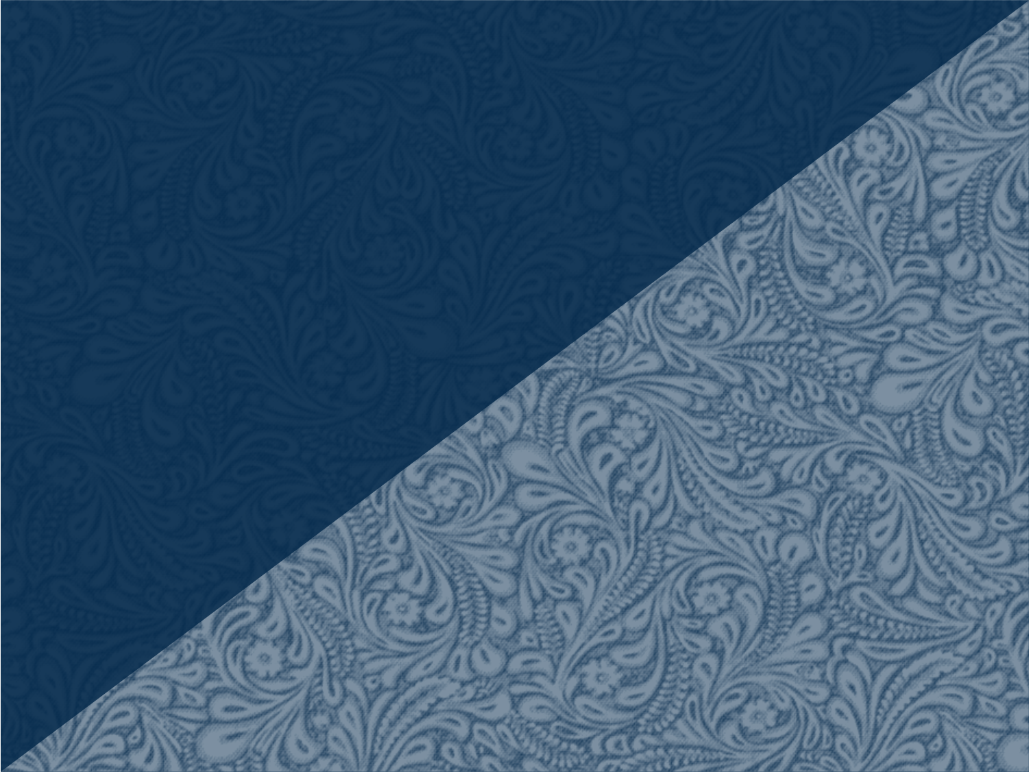 Blue Backdrop - Copy.png