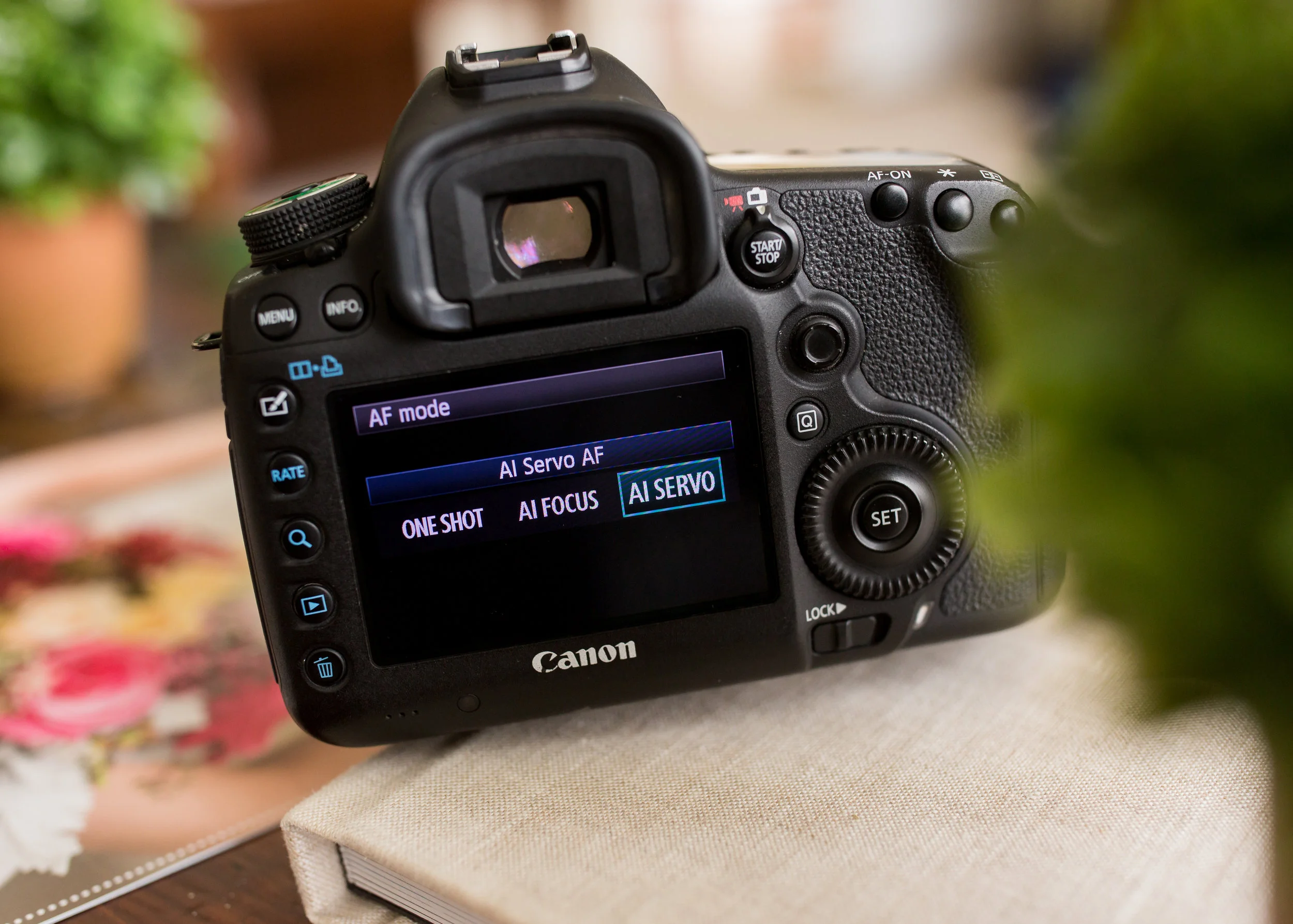 What is AI-Servo and when should you use it (AF-C on Nikon)