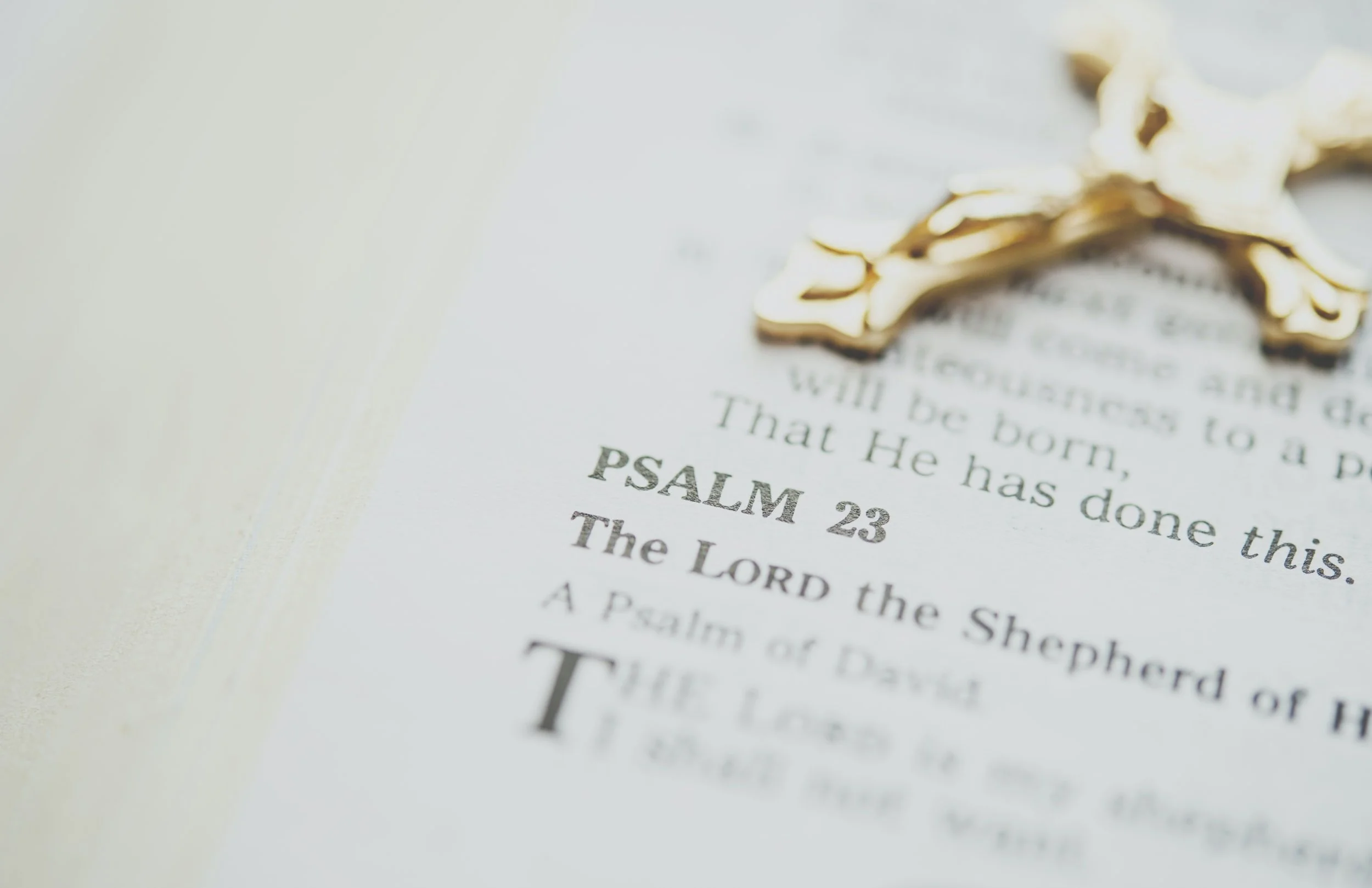 Christ in the Poetic Books of the Bible