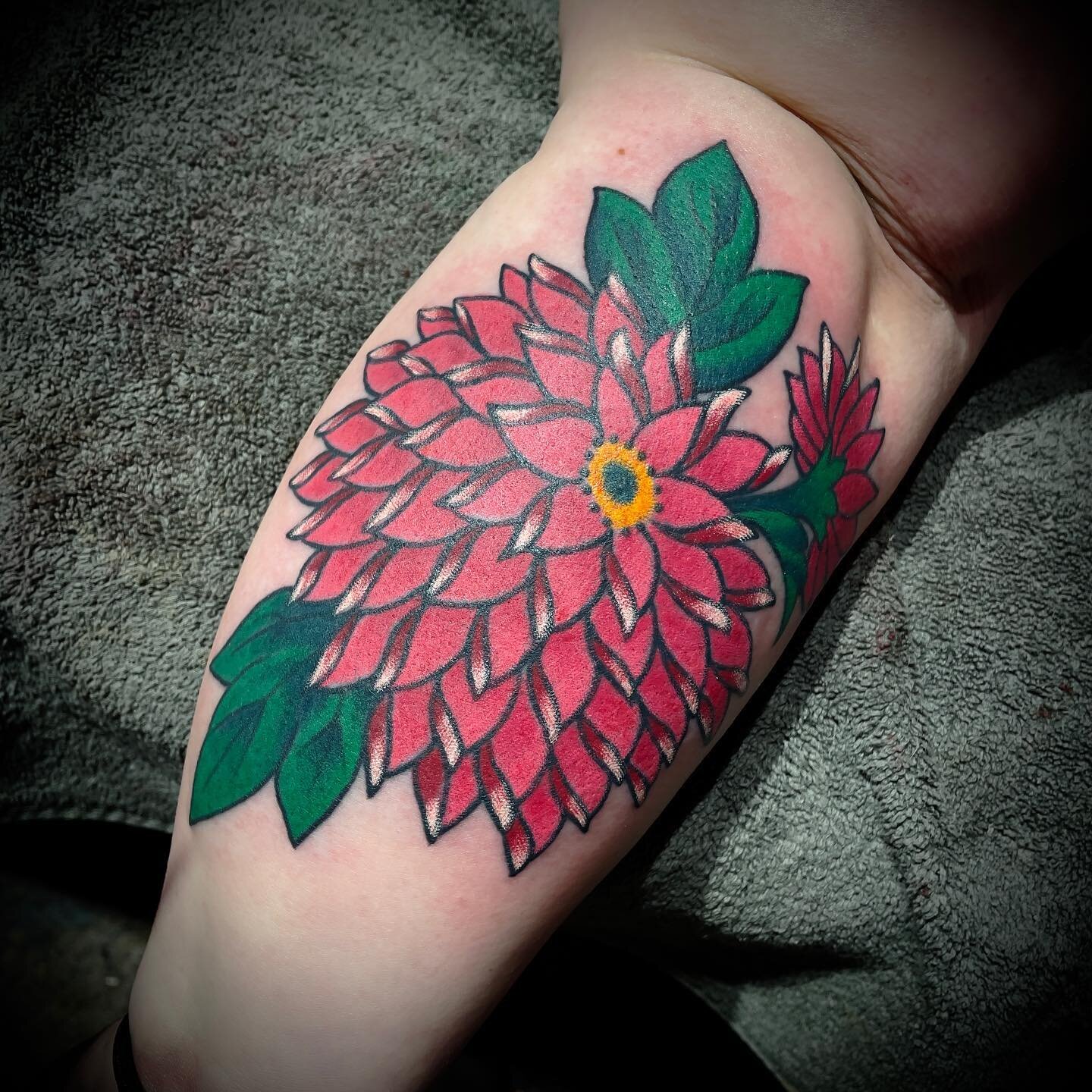 Chrysanthemum colored in on Mrs. Amber