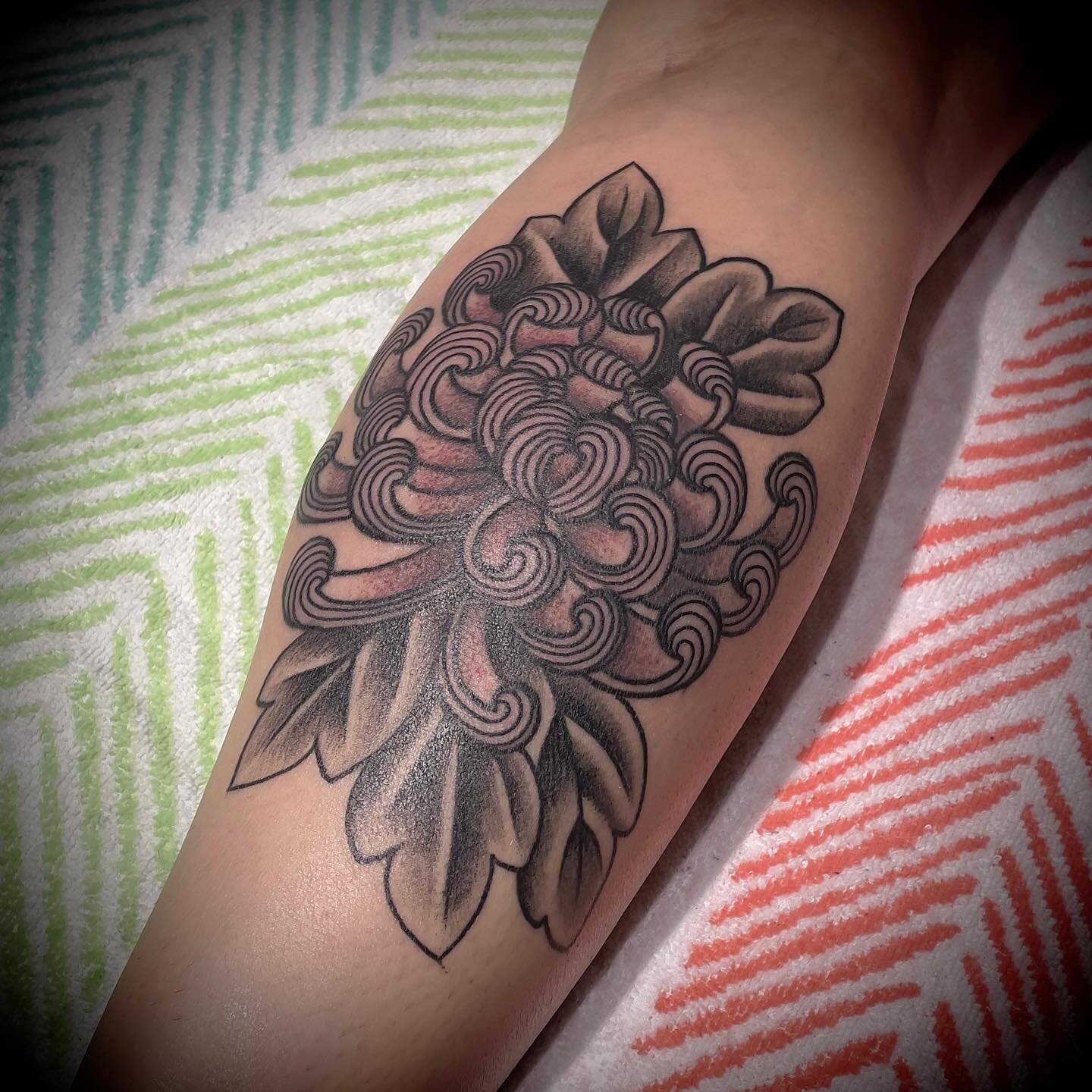 Put some veins and some shading in this chrysanthemum for Sophia the great! (cherry blossoms on the left fully healed from sometime ago)