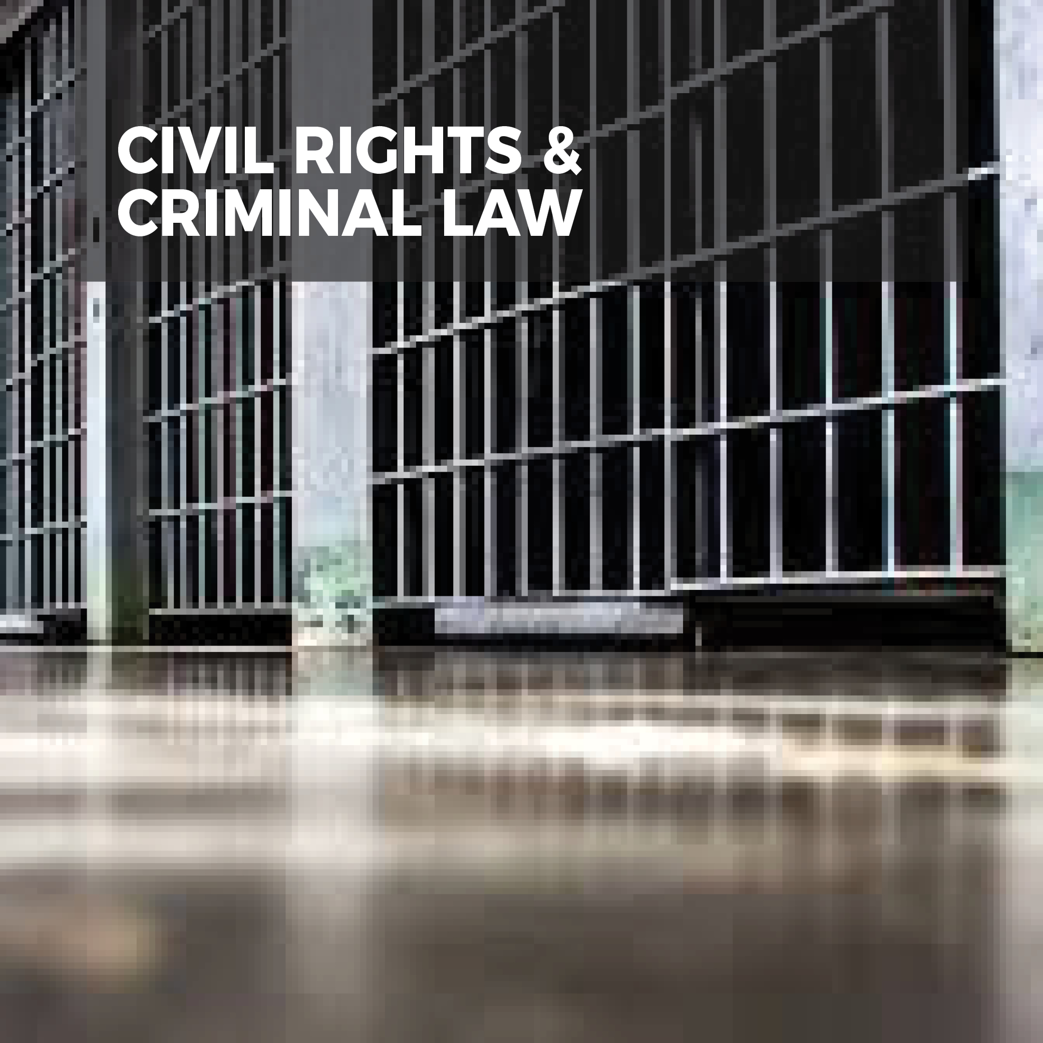 Civil Rights &amp; Criminal Law