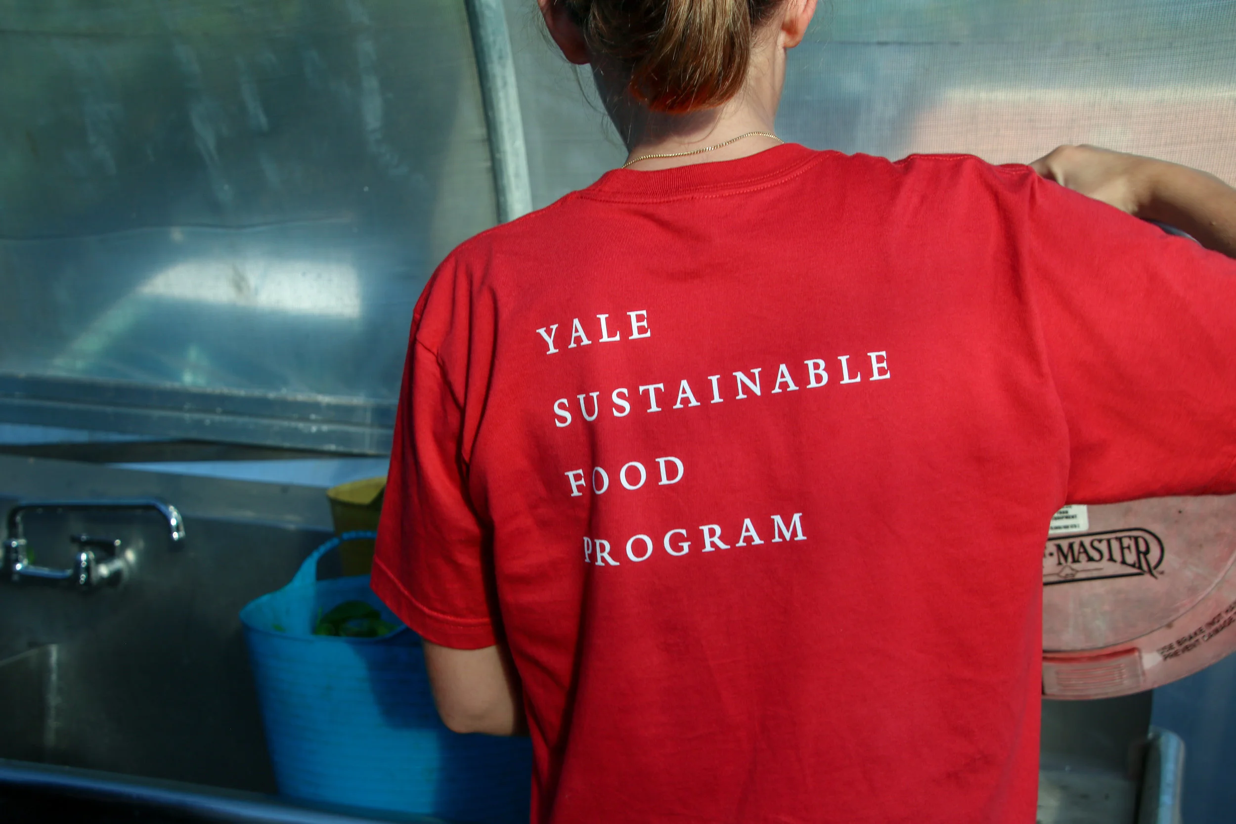 Contribute Yale Sustainable Food Program