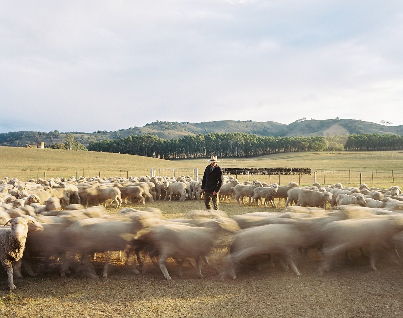 Yale Sustainable Food Program