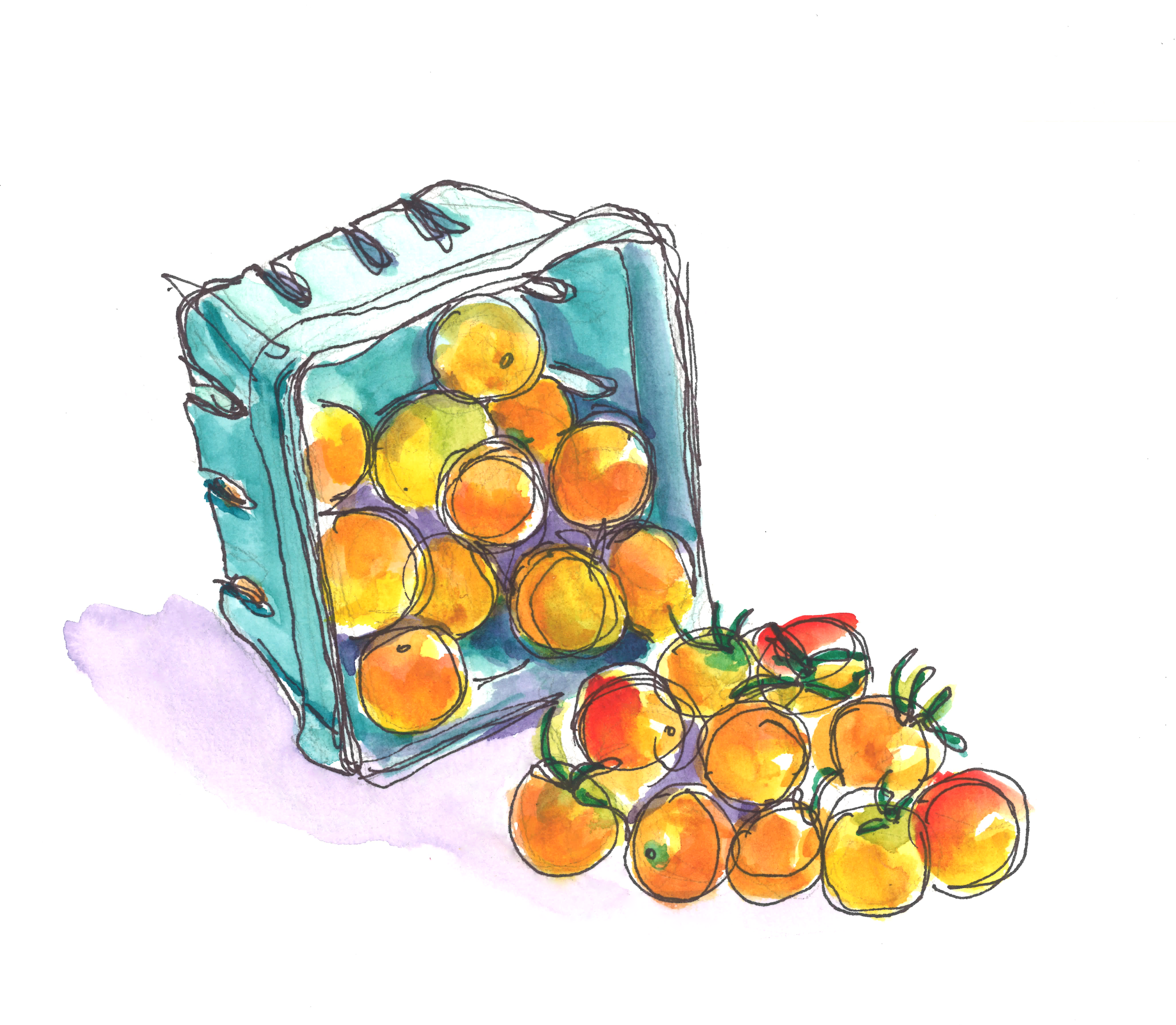  “Sungold Cherry Tomatoes” by Drew Vallero, Stanford '22 