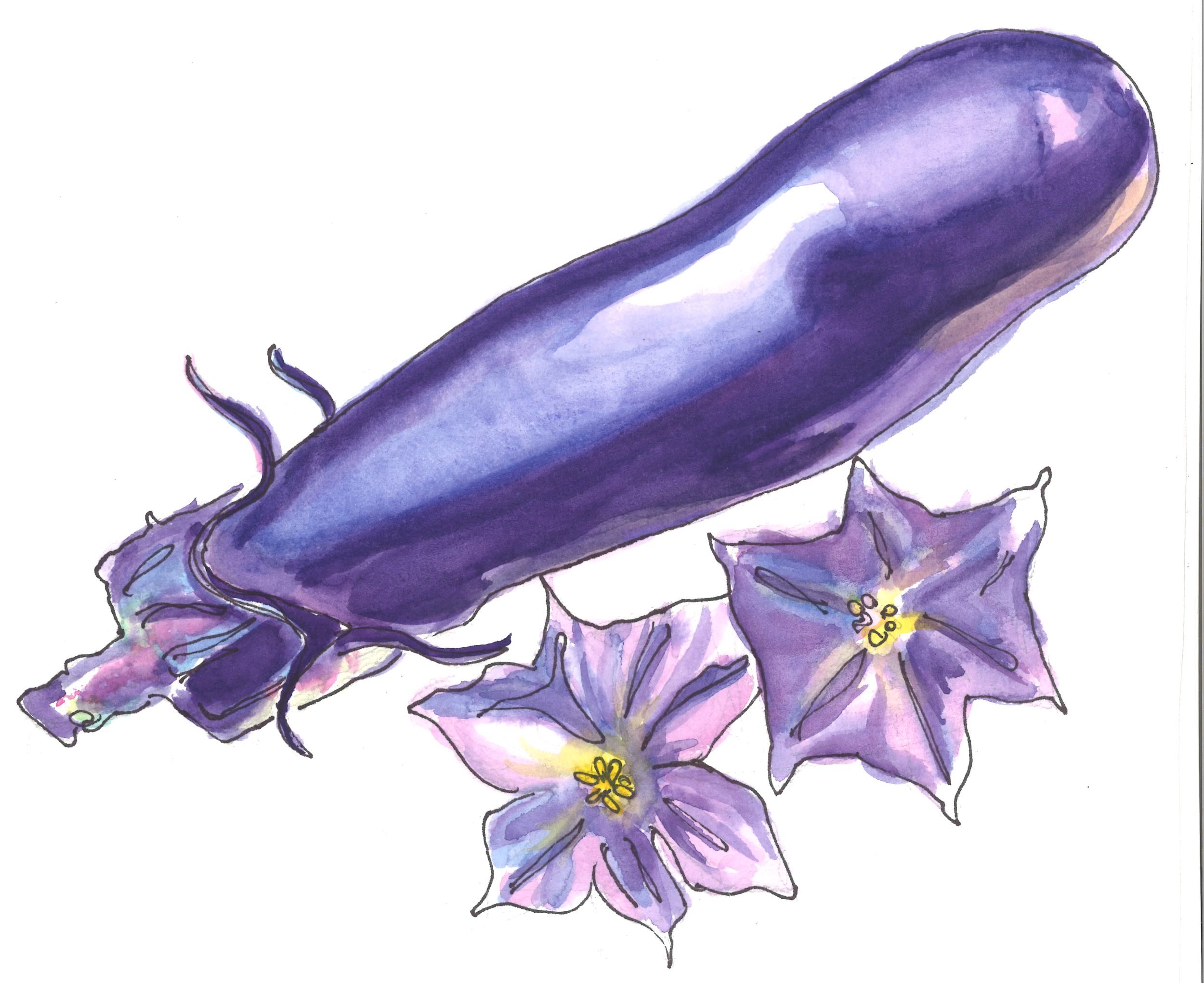 “Summer Eggplant” by Drew Vallero, Stanford '22
