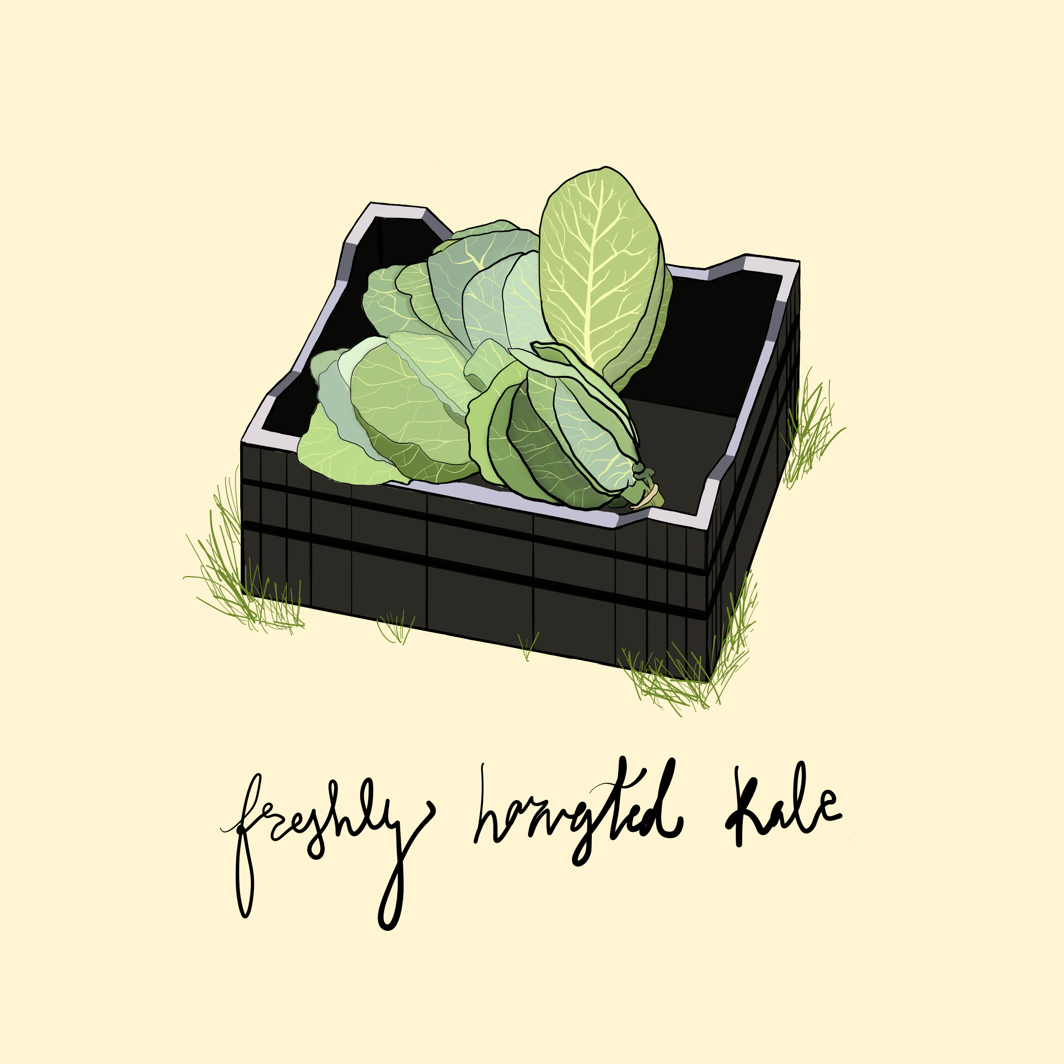 fresh kale.png