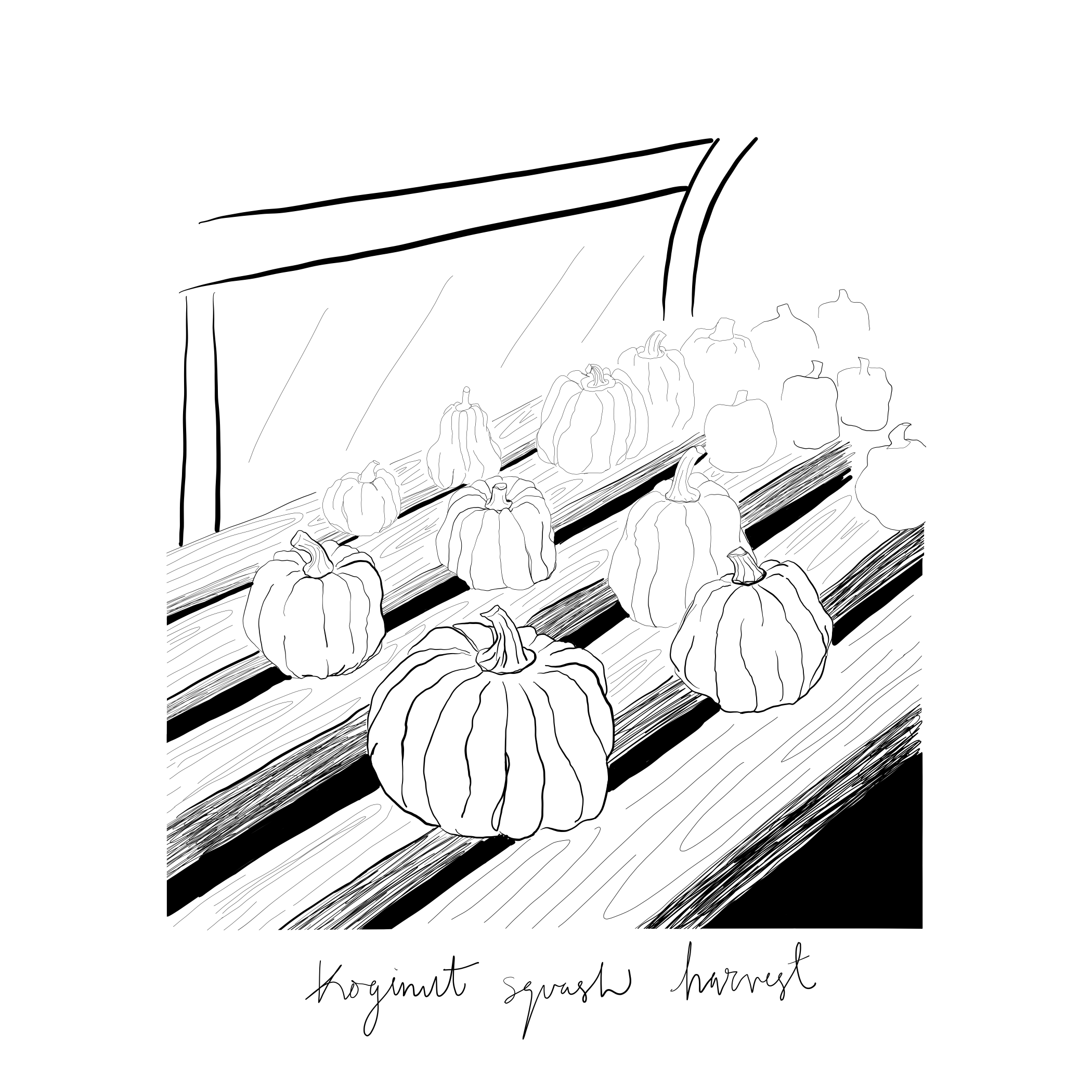 farm login it squash.png