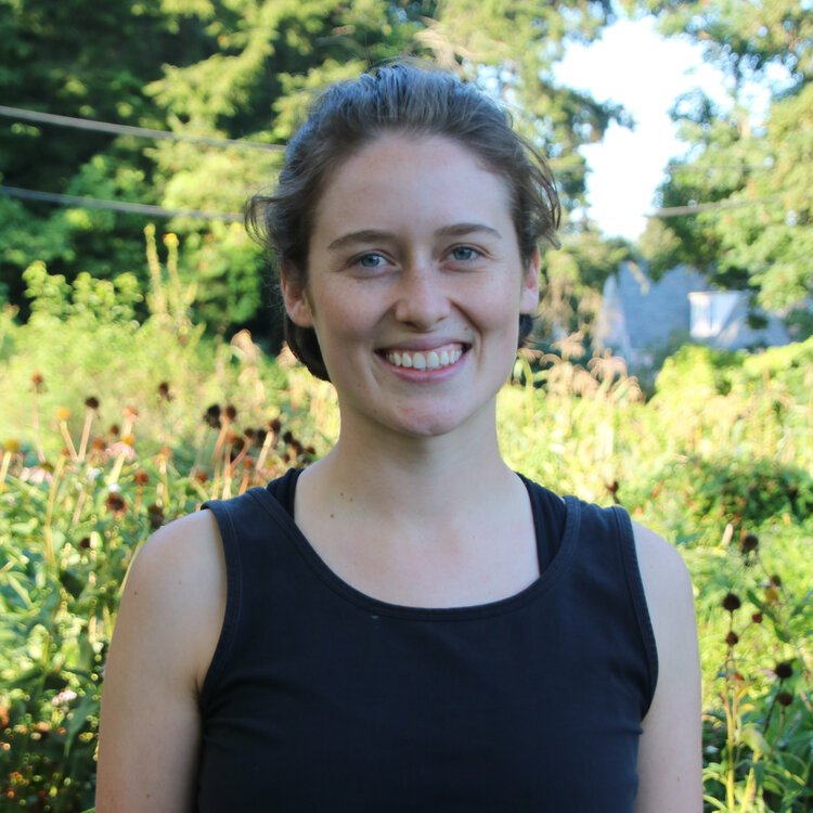 Marisa Vargas-Morawetz