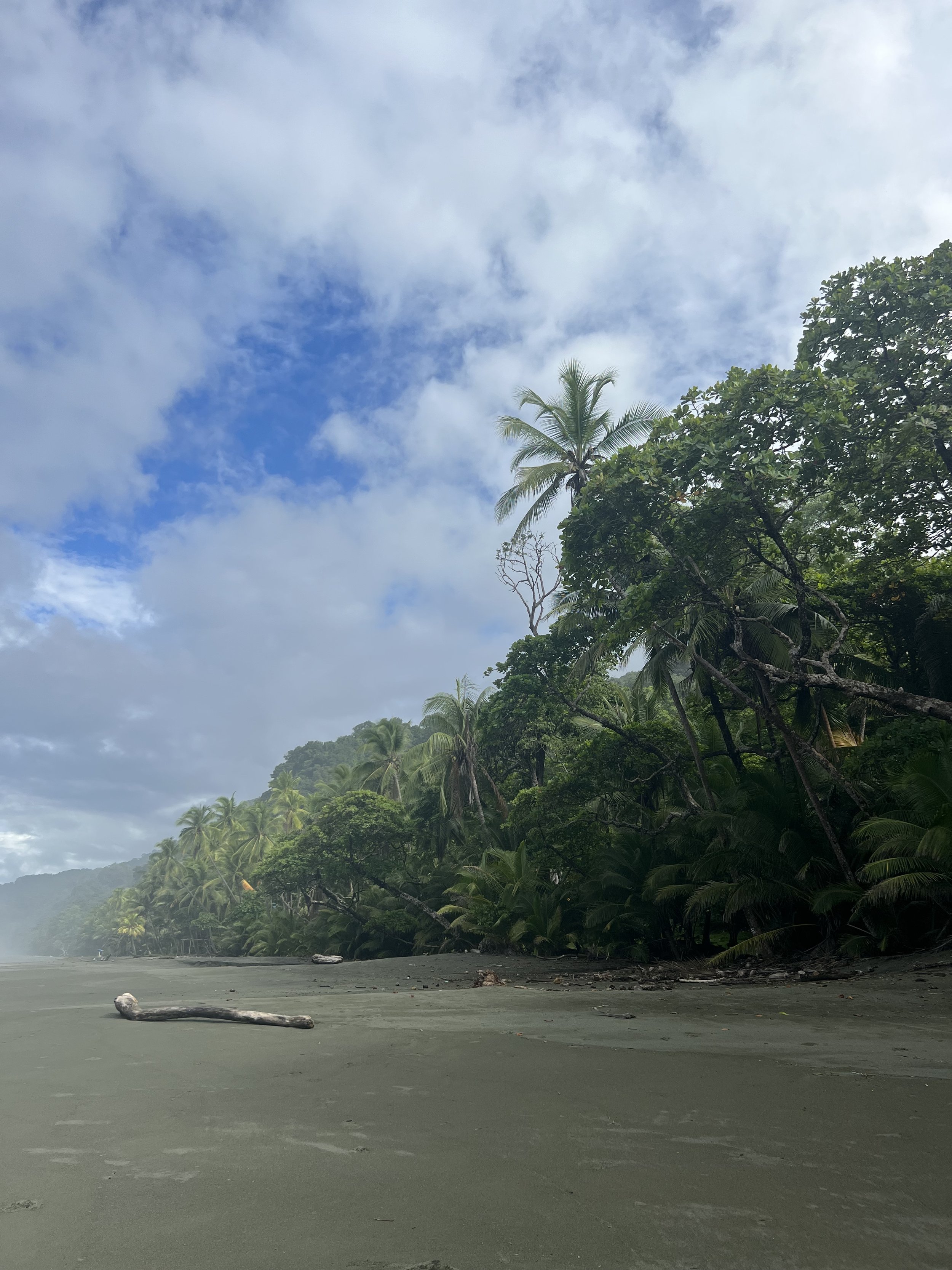  A glimpse into the beautiful beaches of the Osa Peninsula of Costa Rica, where a large portion of this research took place. 