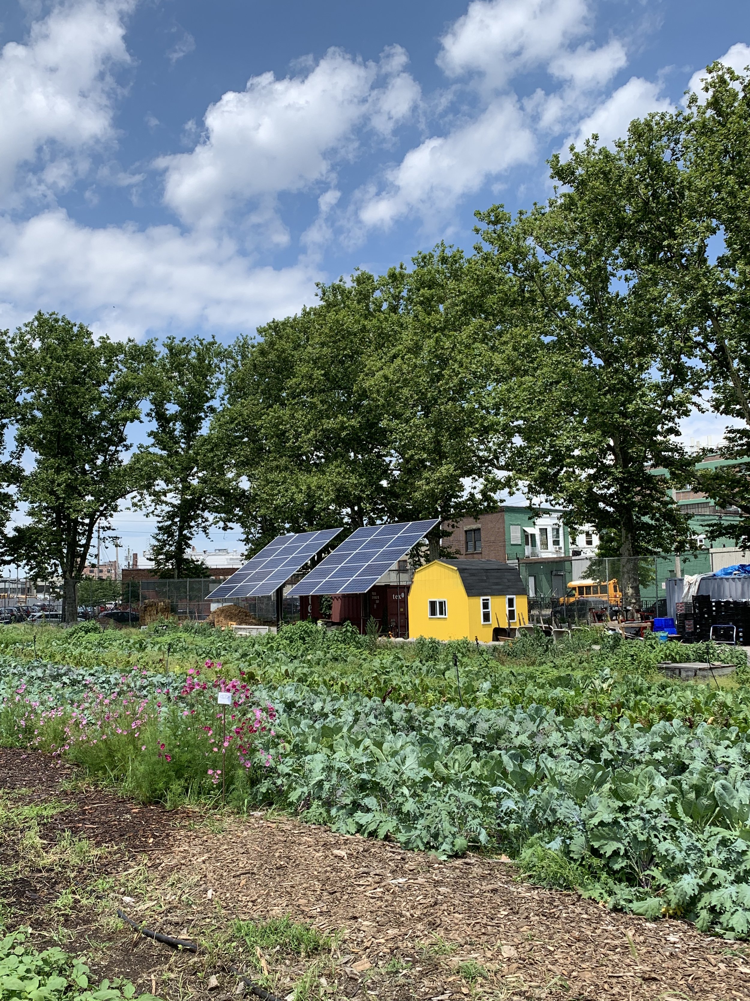 Red Hook Community Farms.jpg
