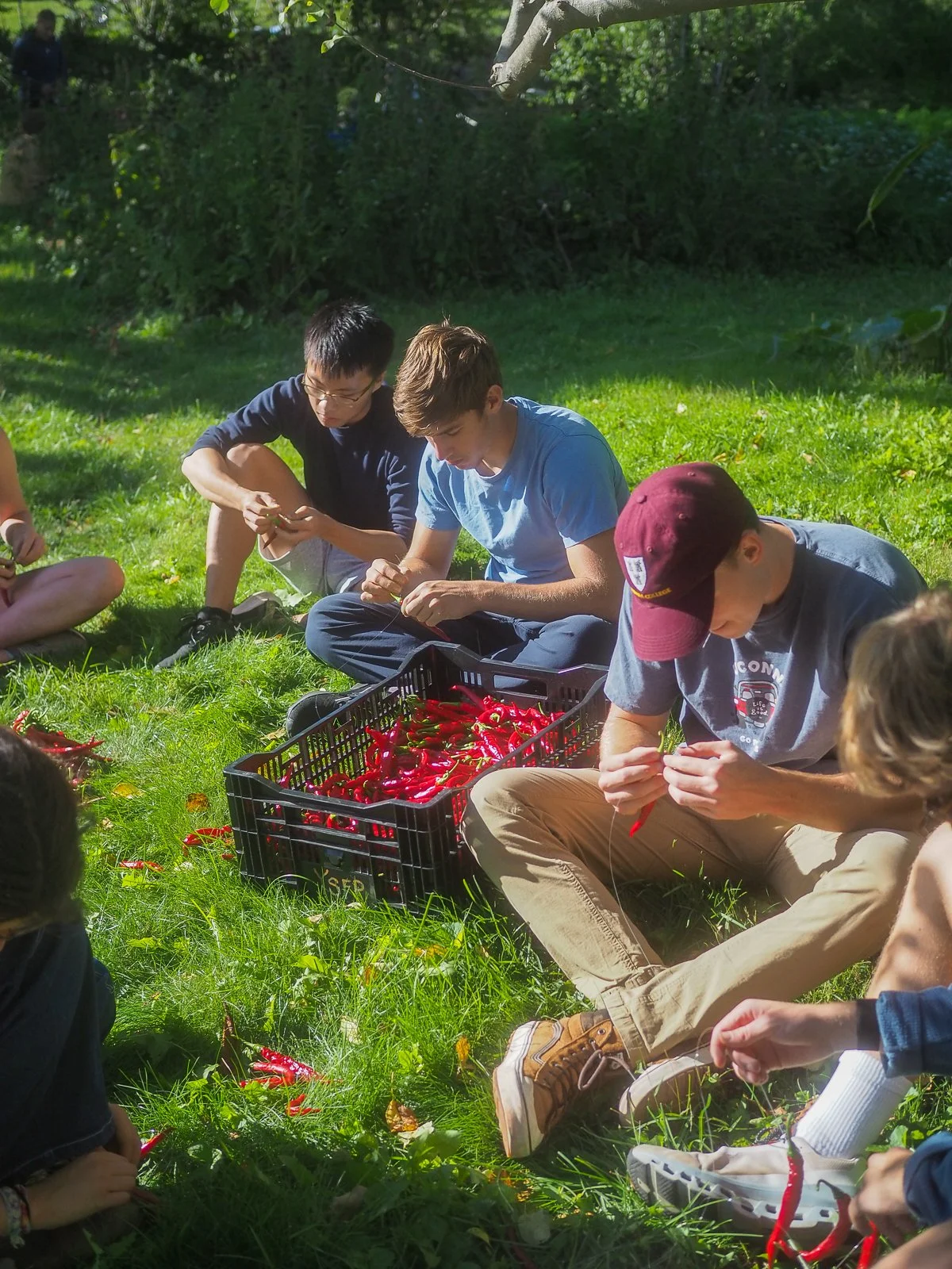 Workday and knead 2 know | Friday, September 23