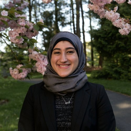 Nisreen Abo-Sido
