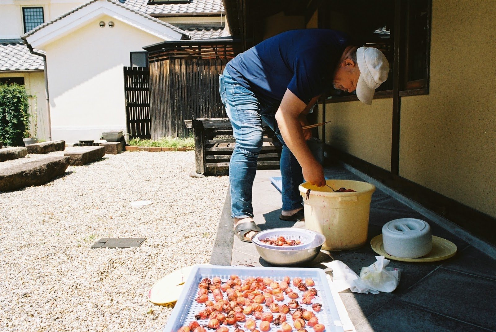  One morning, I had the chance to see the production of  Umeboshi  (pickled Japanese plums).&nbsp;  The plums, which had been preserved in salt for around a month, were ready to be dried in the sun.&nbsp; 